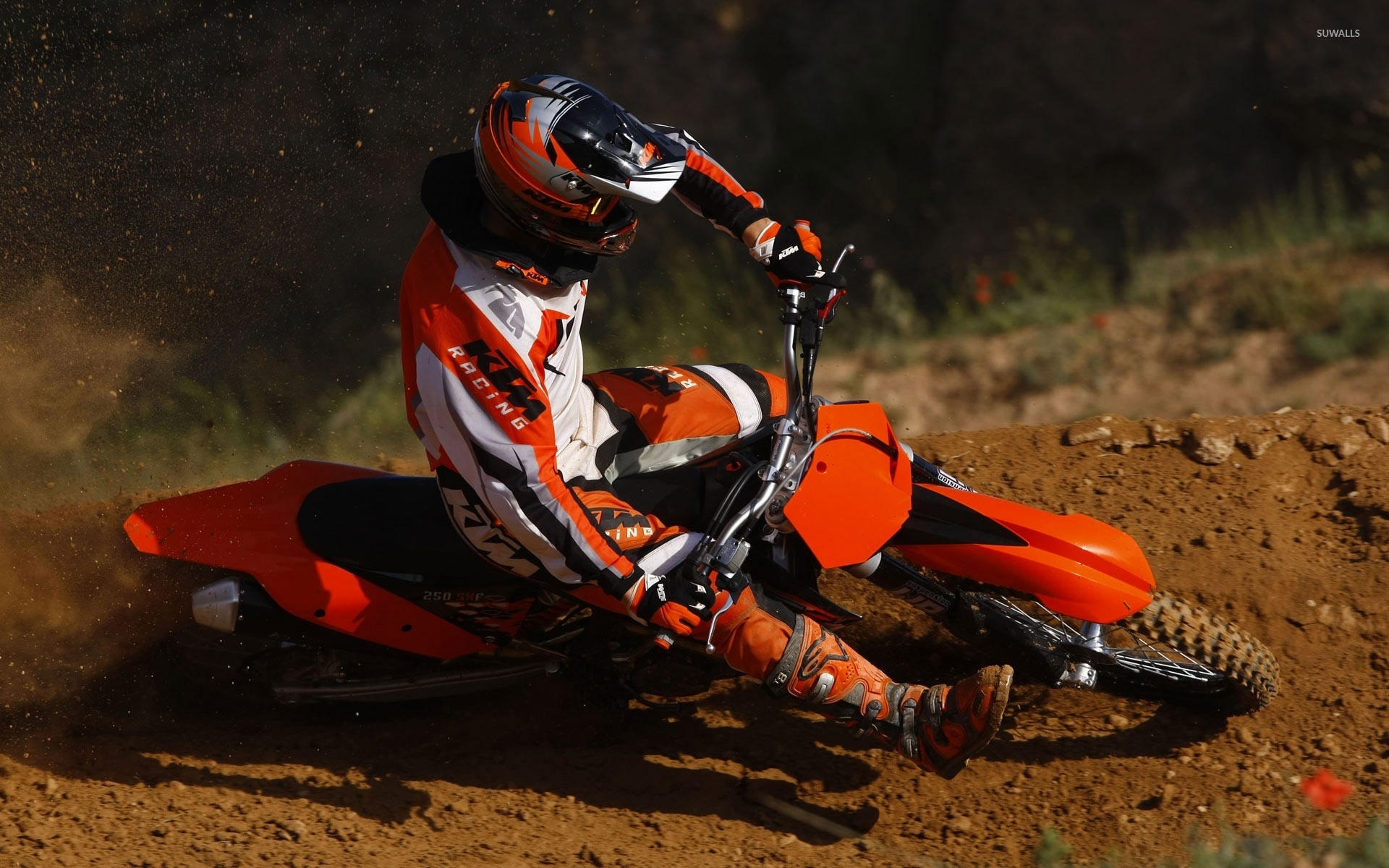 Motocross 44 - HD Wallpaper 