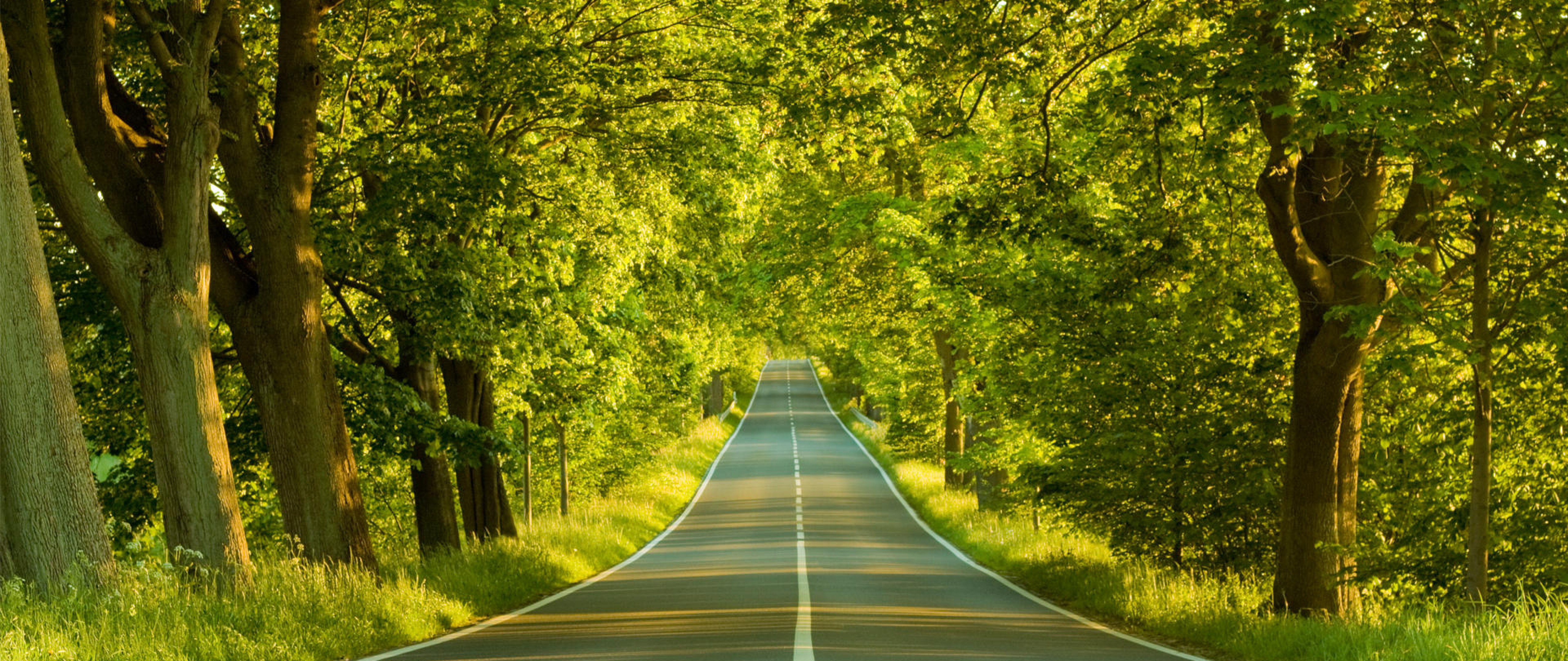 Pleasant Picture Of Nature - 5120x2160 Wallpaper Pleasant Picture Of Nature - 5120x2160 Wallpaper