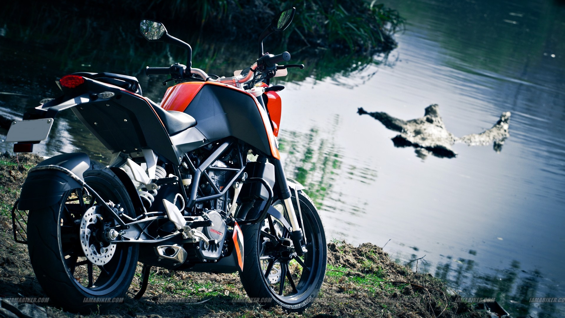Hd Wallpaper Ktm Duke - HD Wallpaper 