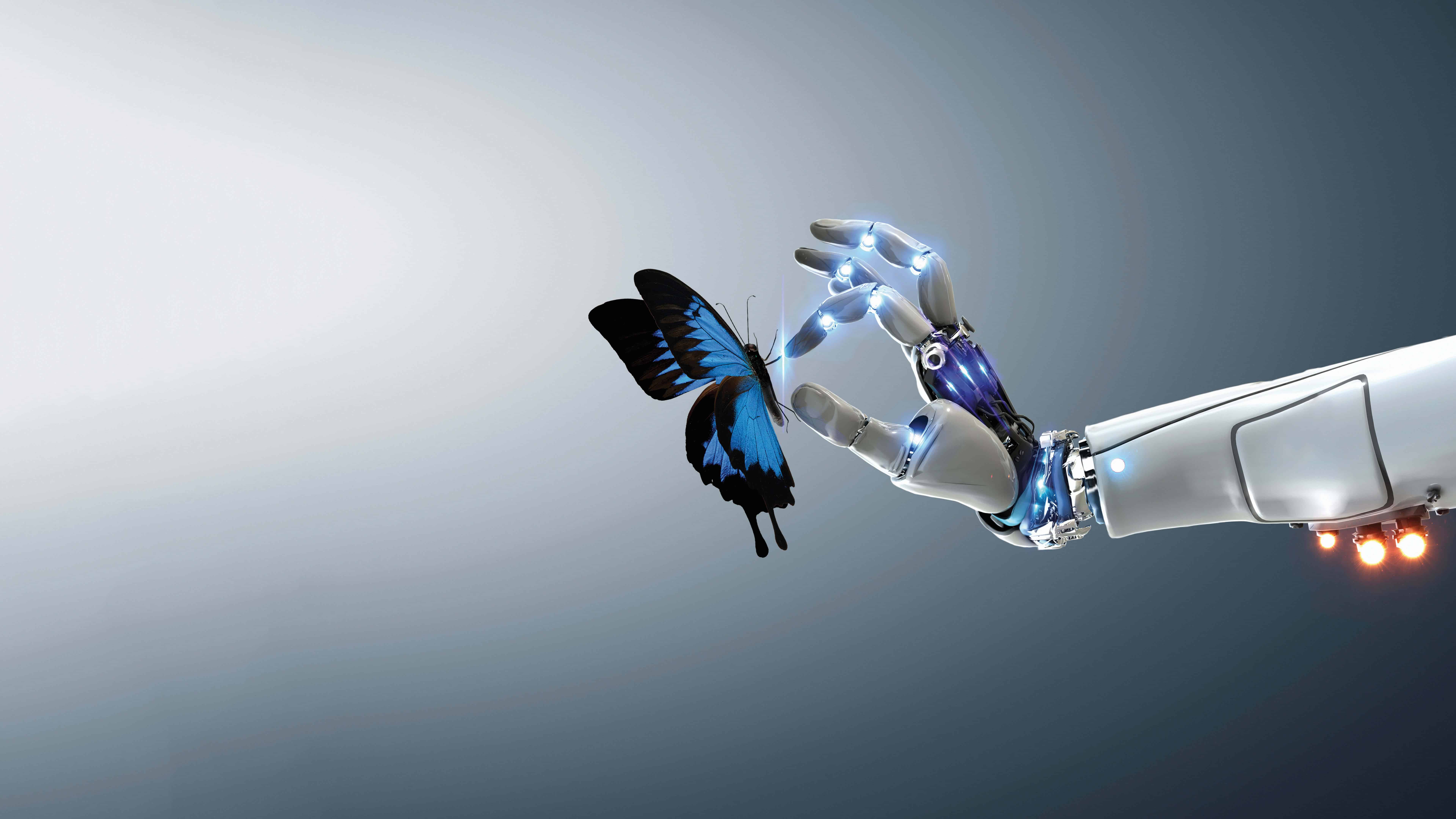 Technology And Nature Robot With A Butterfly Uhd 8k - HD Wallpaper 
