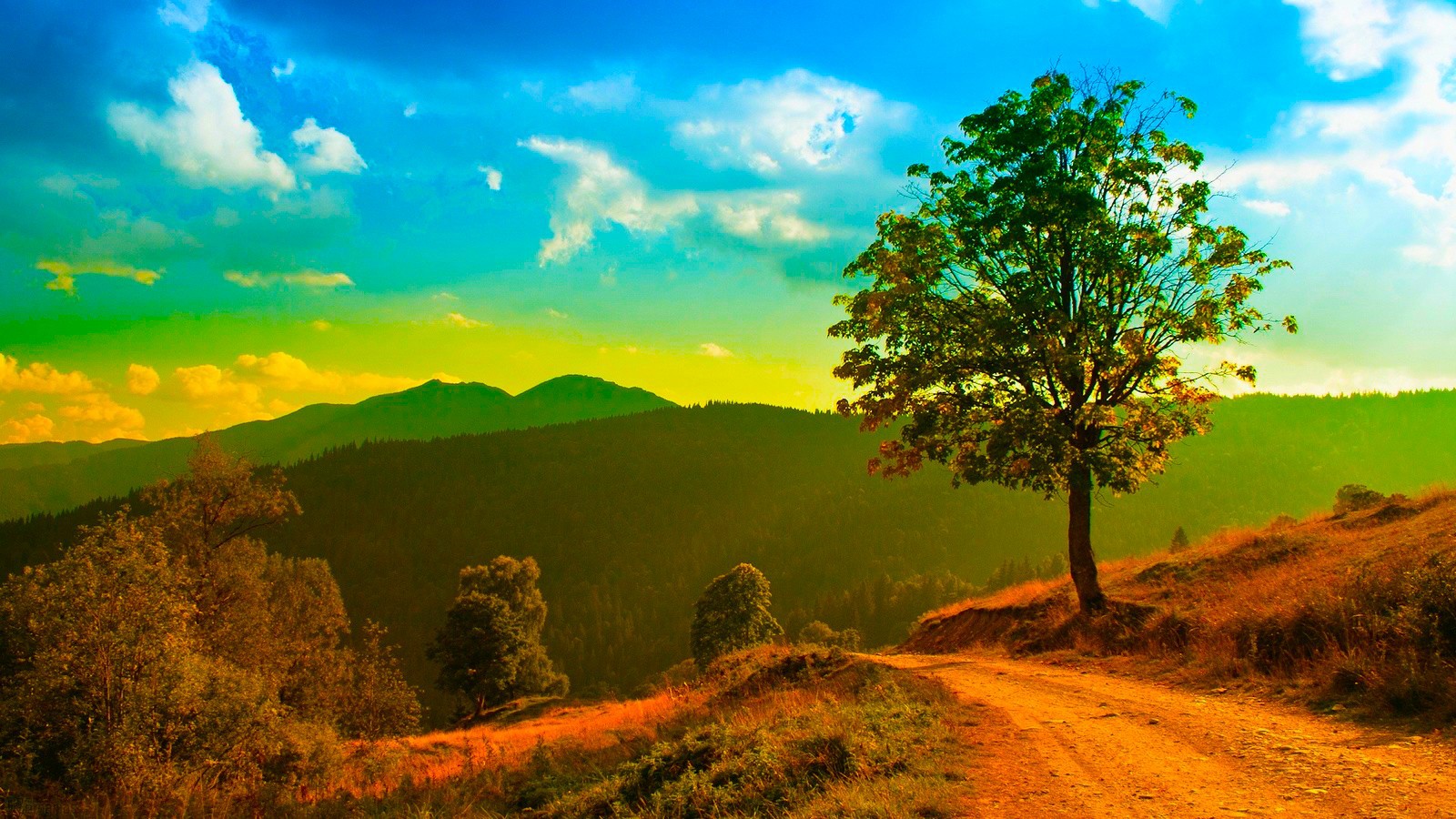Pretty Nature Wallpaper - Fundo Estrada De Terra - HD Wallpaper 