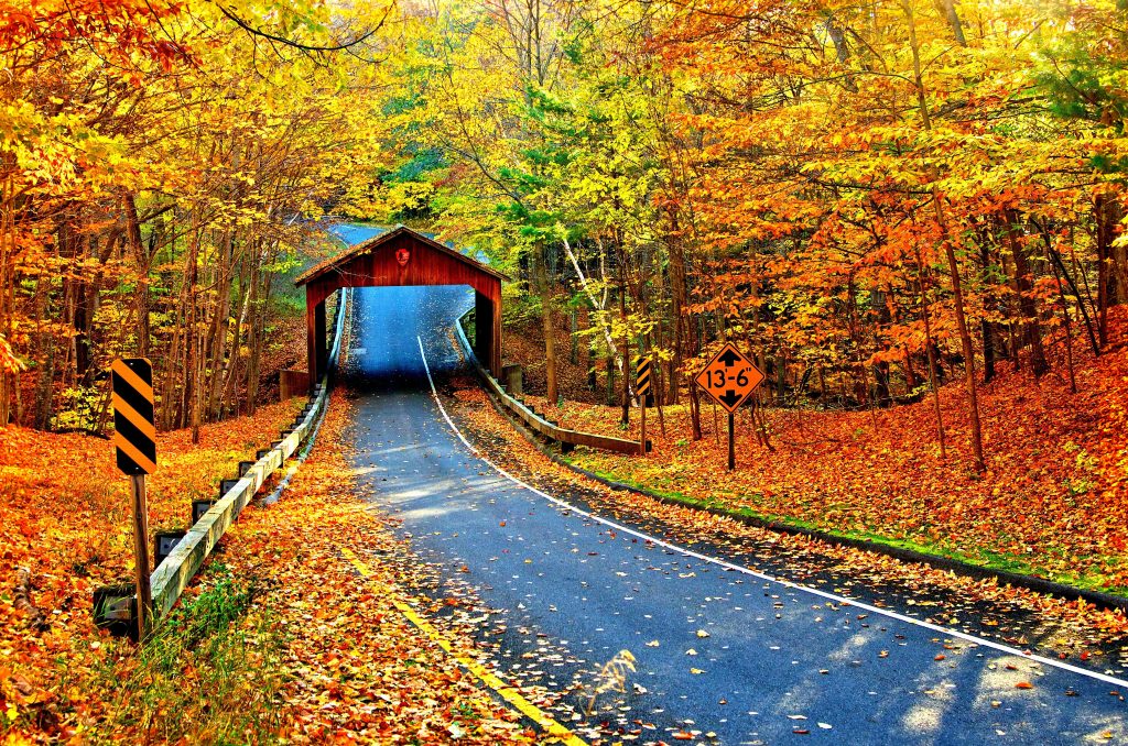 Autumn Trees Leaves Road Path Way Nature 5k Wallpaper - Covered Bridge In Autumn - HD Wallpaper 