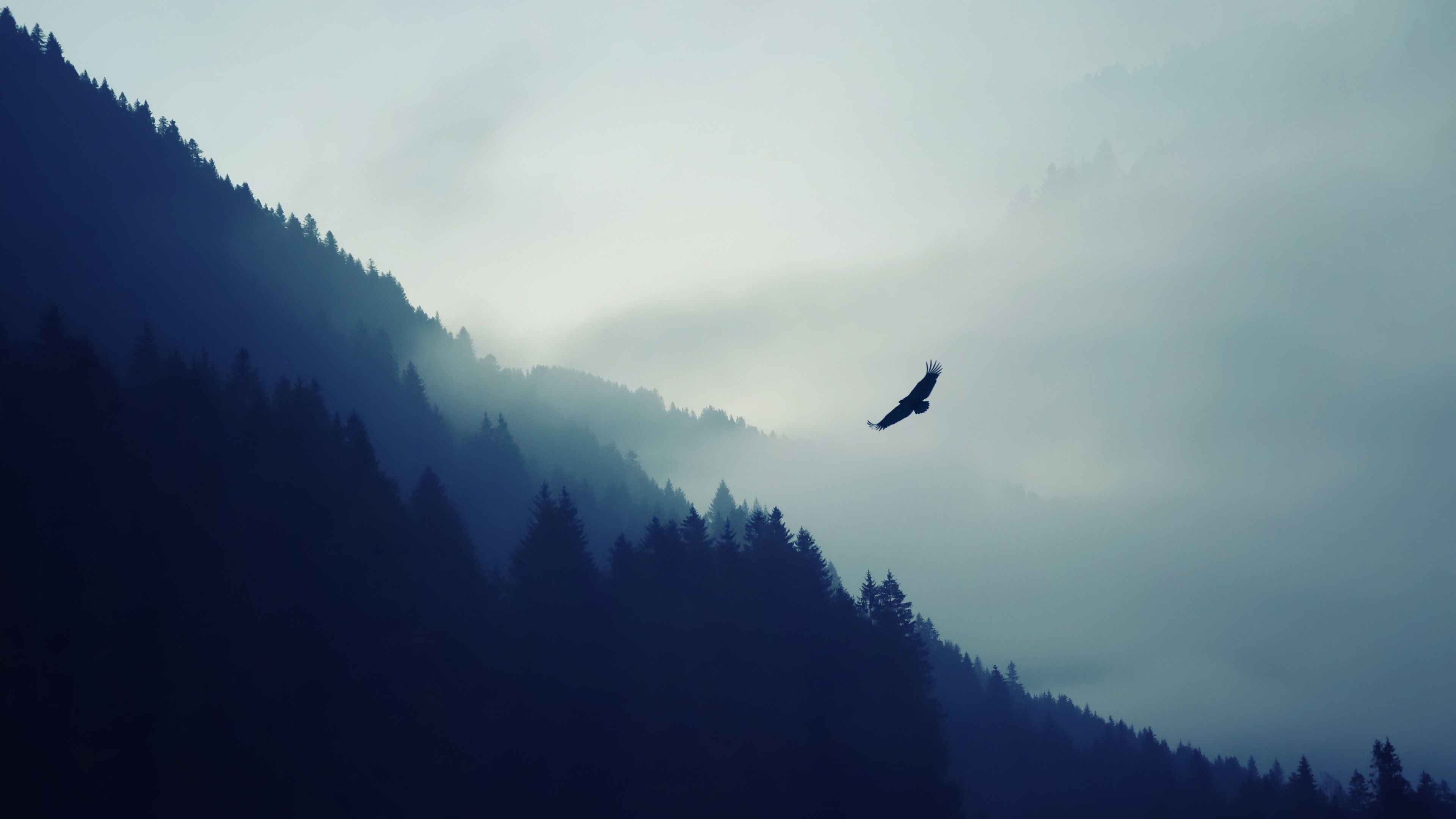 Nature Mountain Eagle Fog Landscape Ultrahd 4k Wallpaper - Mac Wallpaper 4k - HD Wallpaper 