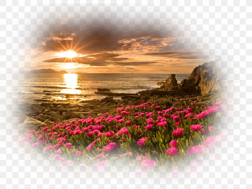 Ultra High Definition Television Desktop Wallpaper - Pretty Fields - HD Wallpaper 