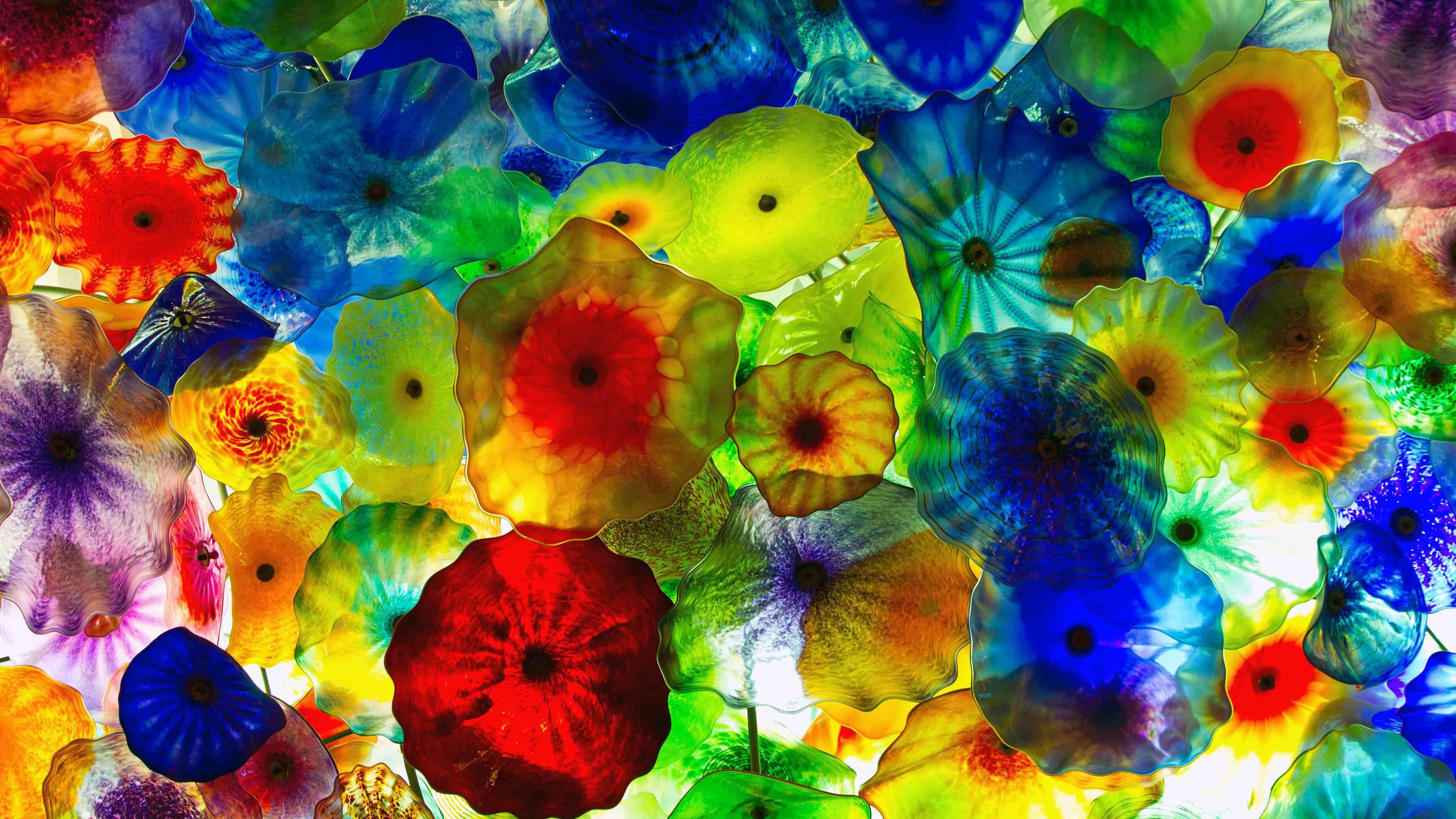 Colorful Jellyfish Uhd 4k Wallpaper 
 Data Src Colorful - HD Wallpaper 