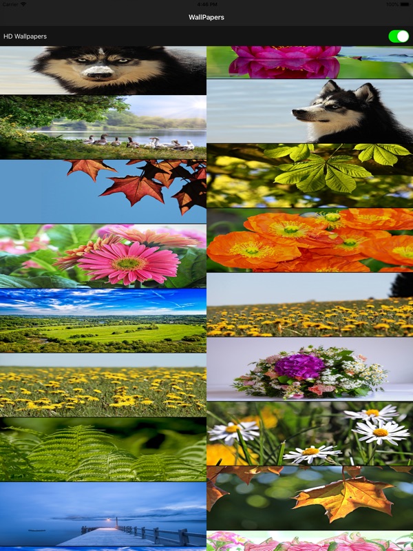 Collage - HD Wallpaper 