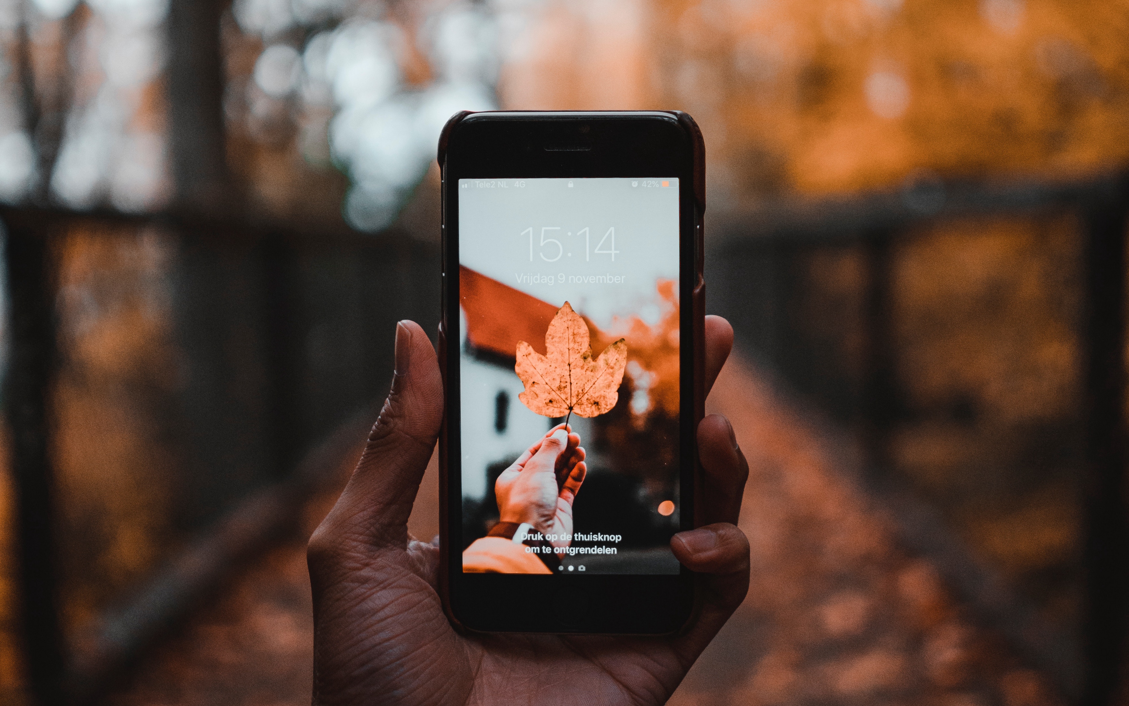 Wallpaper Phone, Sheet, Autumn, Maple, Hand - Best Photographer Phone - HD Wallpaper 