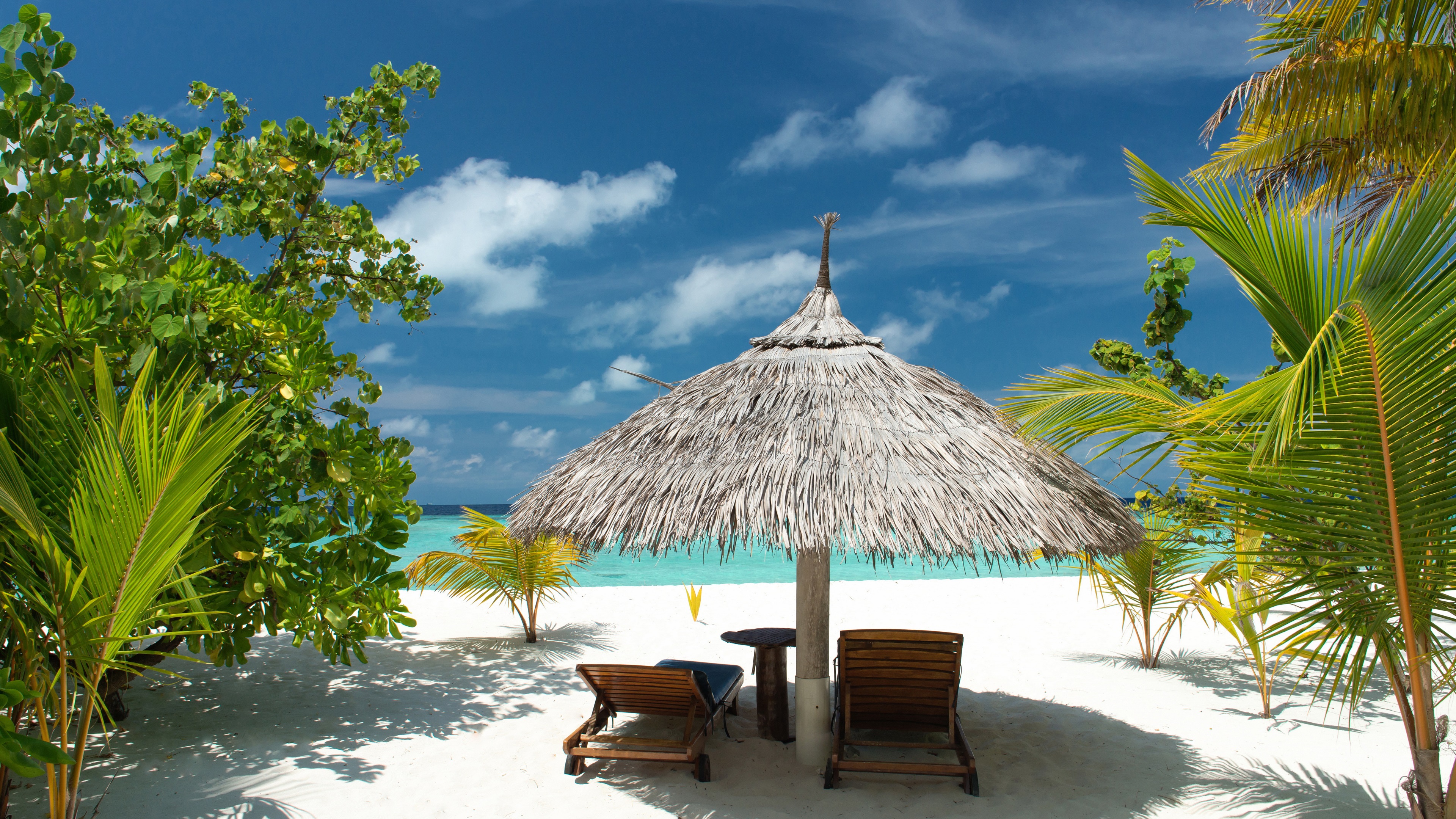 Wallpaper Tropical Beach, Sand, Palm Trees, Sea, Vacation, - Sommer Wallpaper 4k - HD Wallpaper 