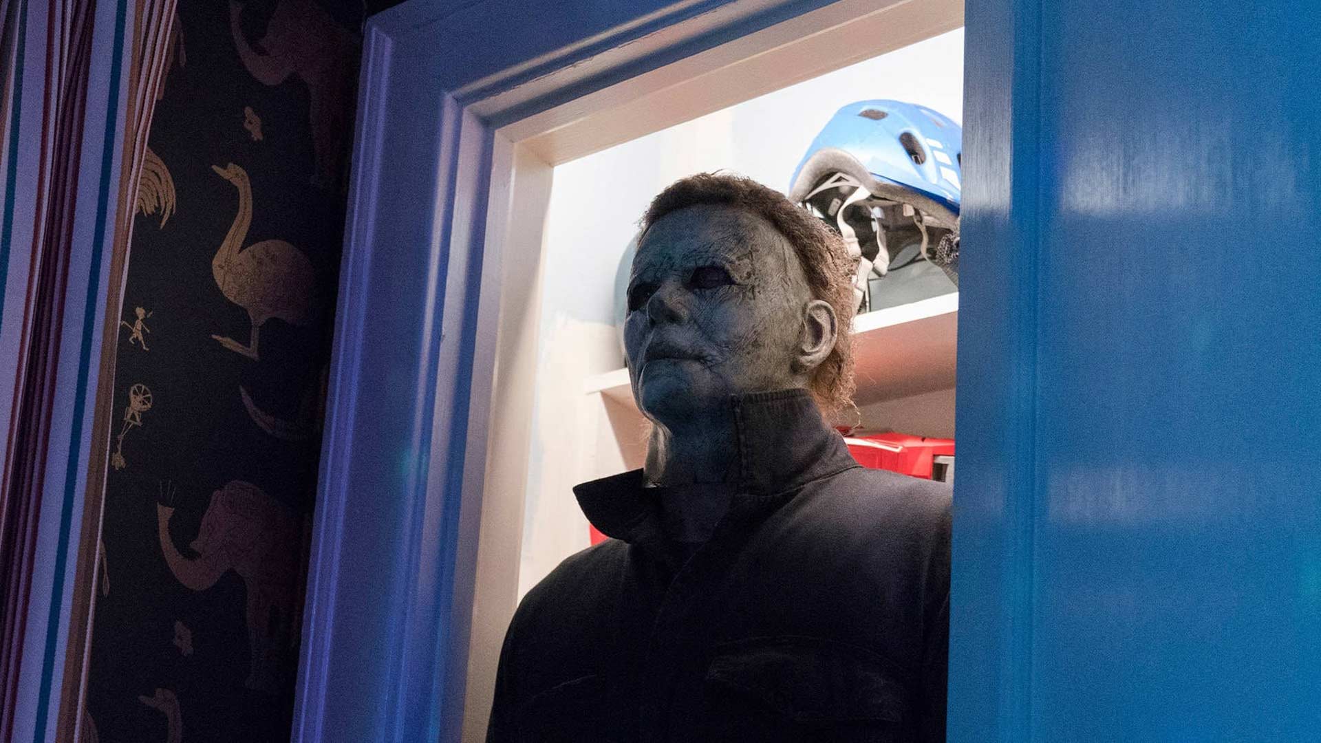 Halloween 2018 4k Blu-ray Wallpaper Closet - Halloween 2018 4k - HD Wallpaper 