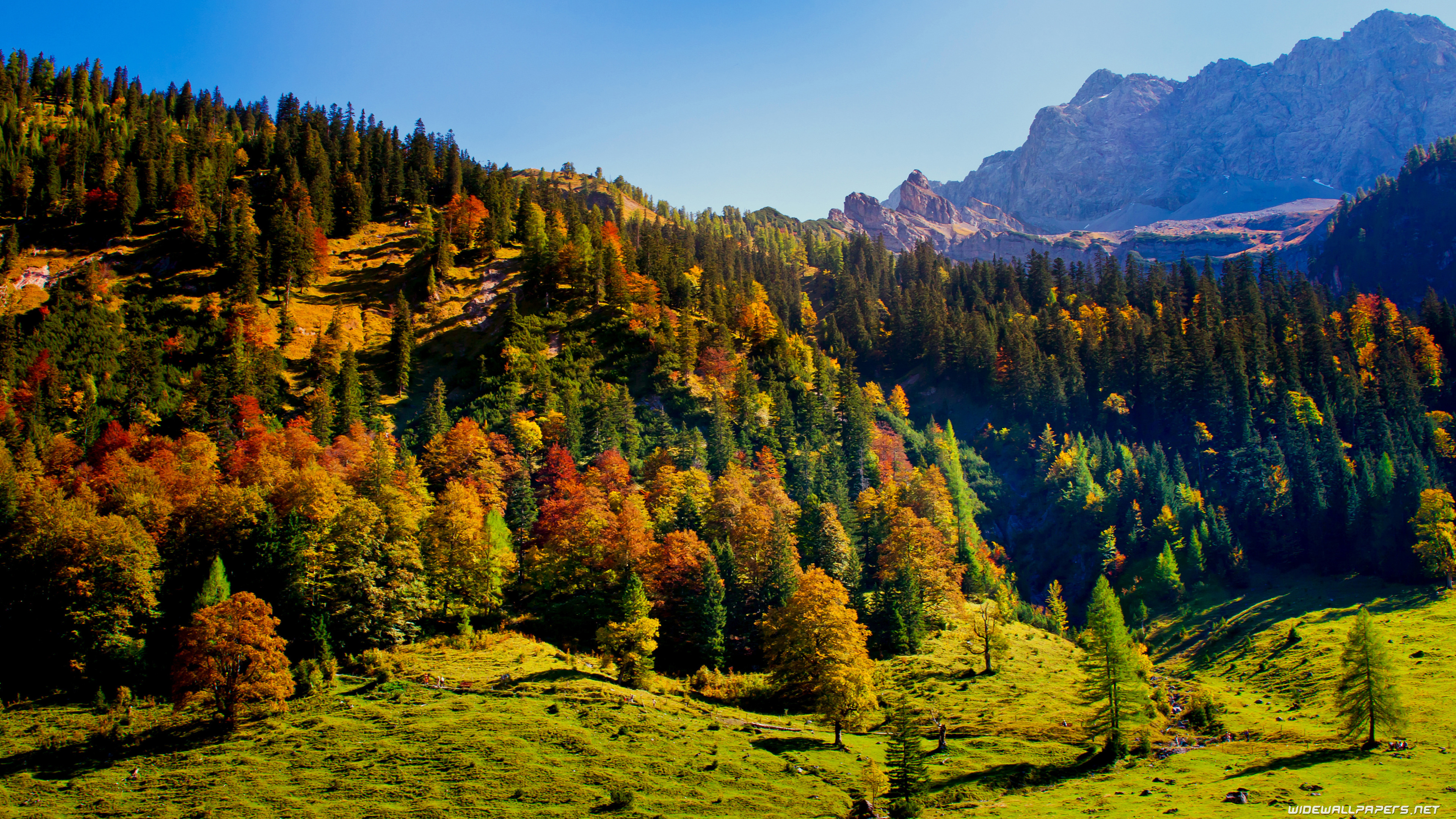 Austria Nature - HD Wallpaper 
