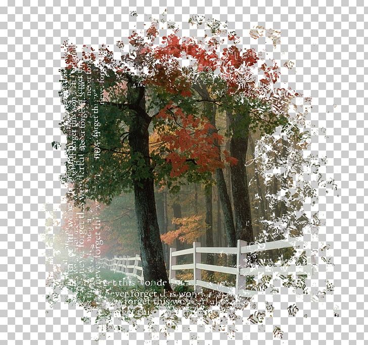 1080p 4k Resolution Mobile Phones High-definition Television - HD Wallpaper 