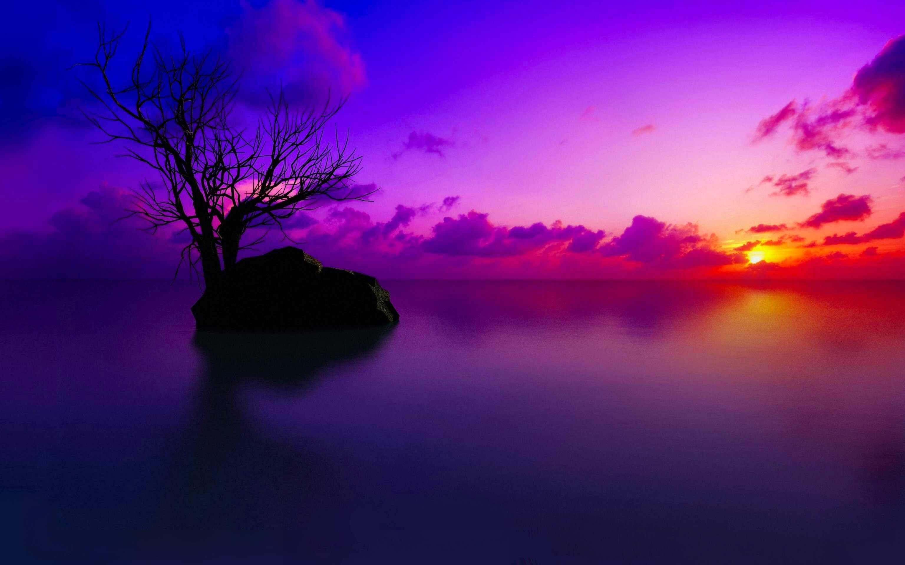 Sunset Hd - HD Wallpaper 