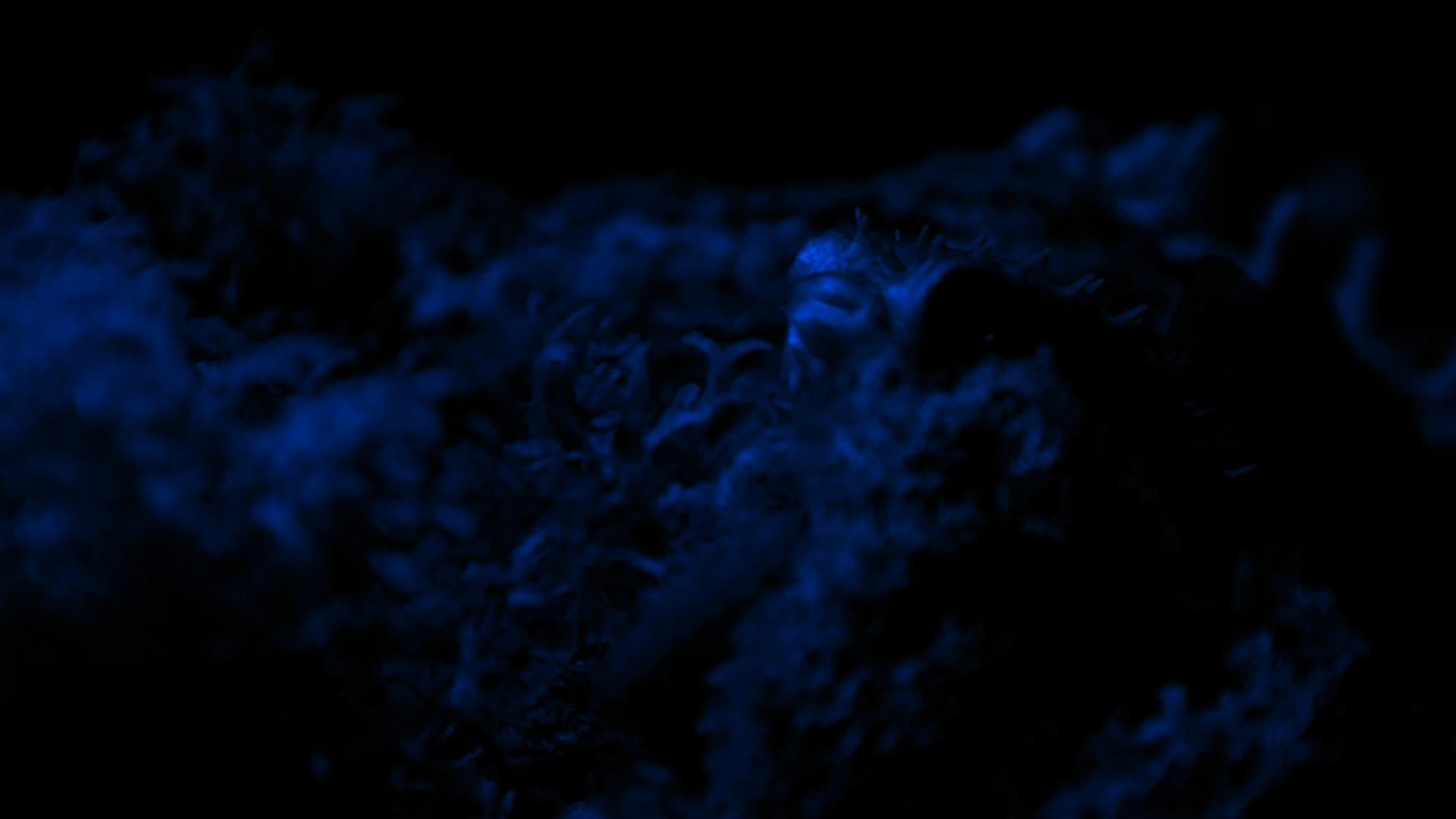 Darkness - HD Wallpaper 