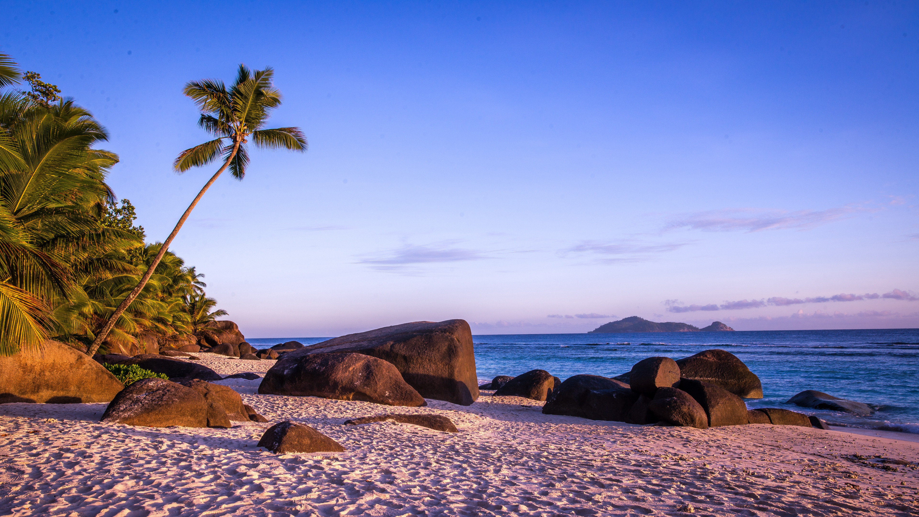 Beach - HD Wallpaper 