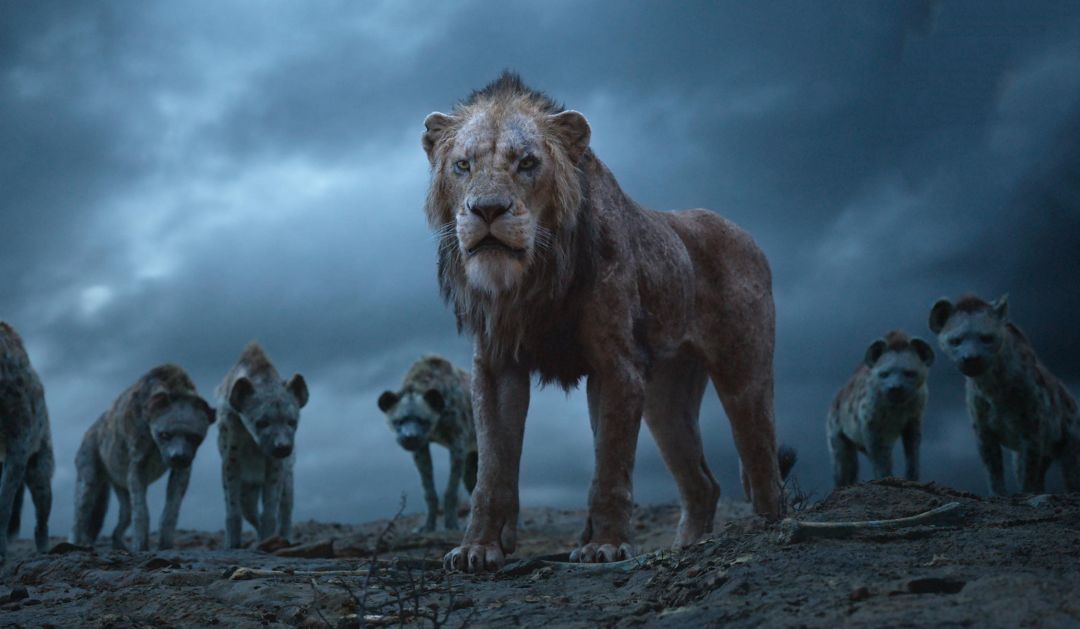 Lion King 4k Hd Wallpapers (1080p, 4k) (40338) - Scar Lion King 2019 - HD Wallpaper 
