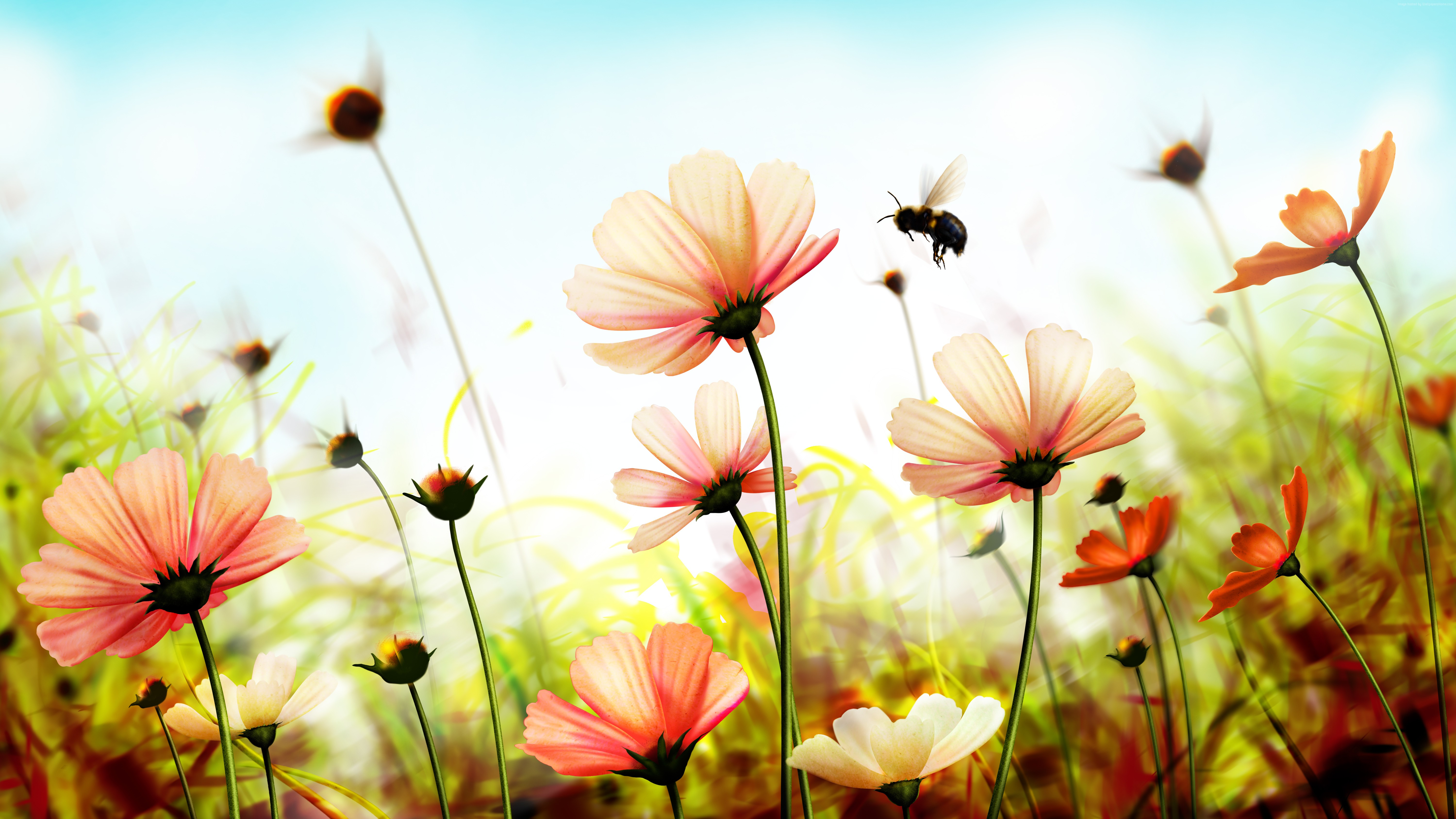 4k Hd Wallpapers For Android - Summer Flower Backgrounds - HD Wallpaper 