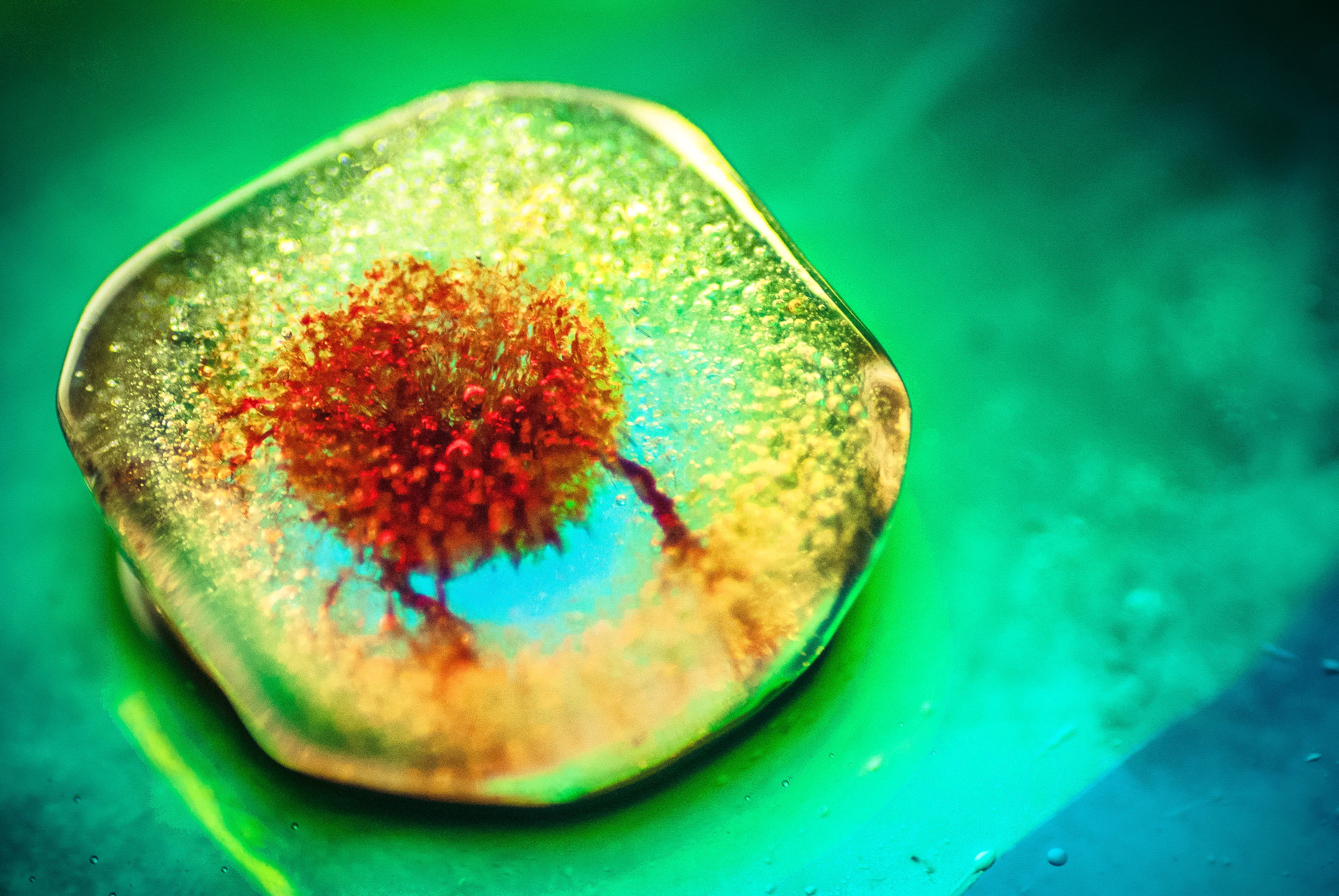 Macro Wallpaper 4k - HD Wallpaper 