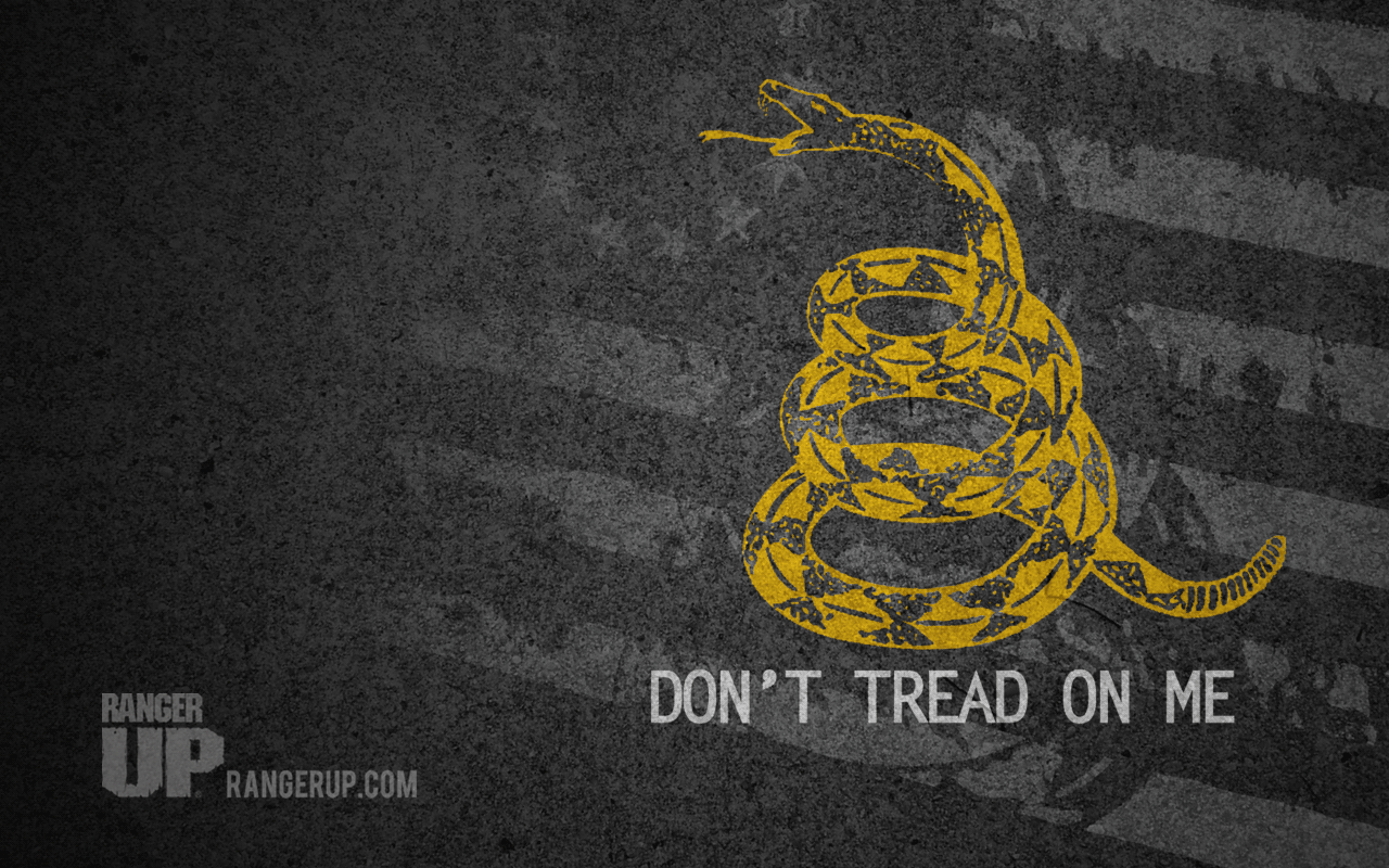 Wallpaper Dtom - Dont Tread On Me Wallpaper Hd - HD Wallpaper 