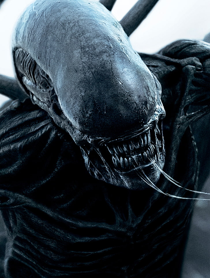 Alien Covenant Wallpaper 4k - HD Wallpaper 