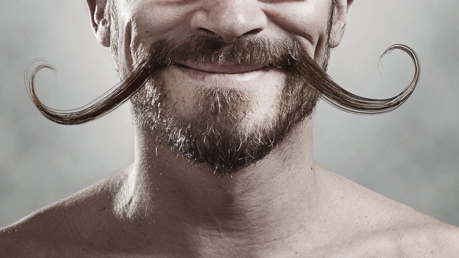 November Mustache - HD Wallpaper 