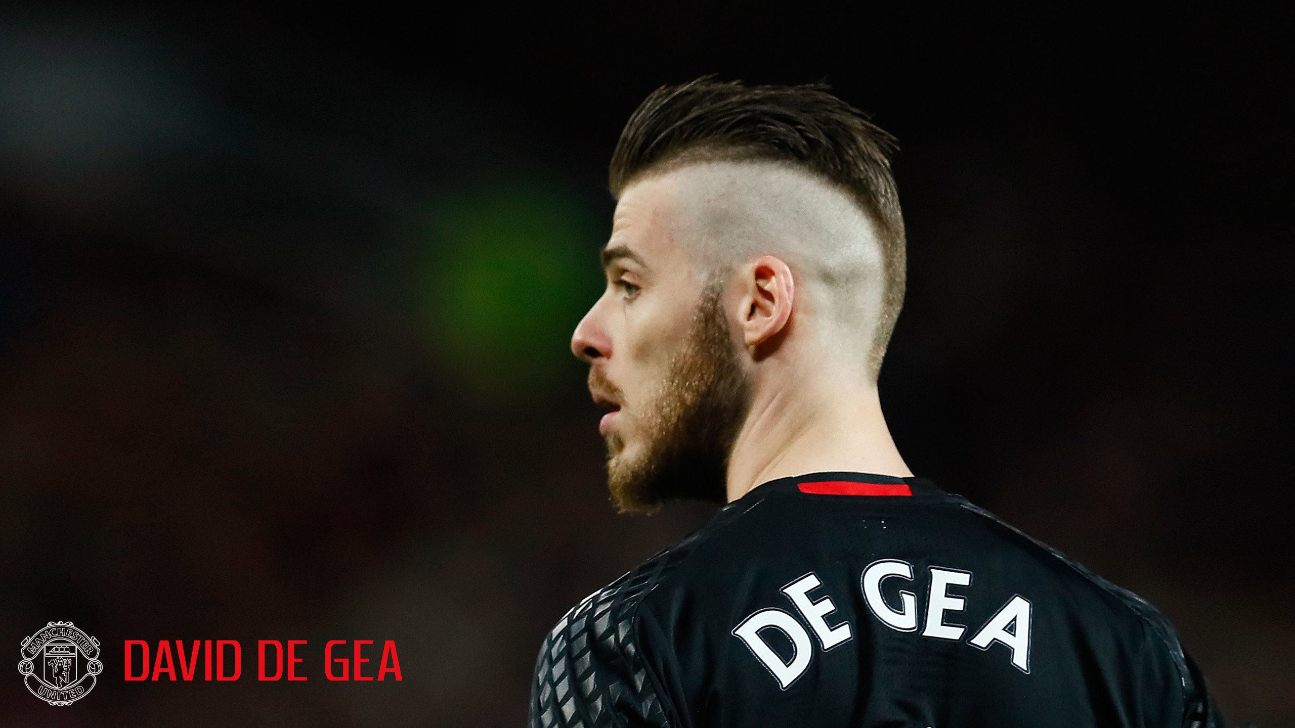 I Love To Share This Picture Of David De Gea Manchester - Manchester United Players 2018 - HD Wallpaper 