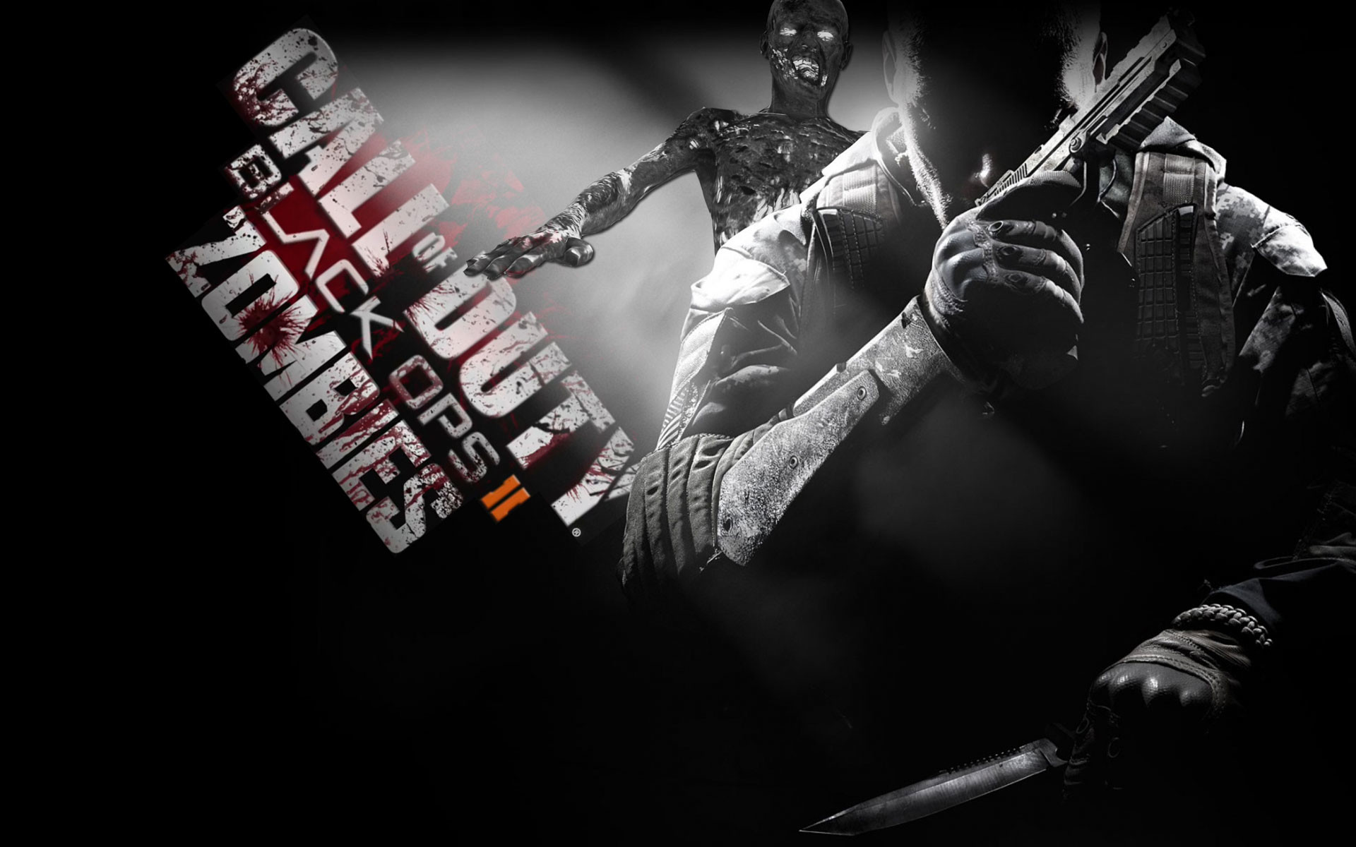 Call Of Duty Black Ops 2 Zombies Wallpaper - Call Of Duty Black Ops 2 Zombies - HD Wallpaper 