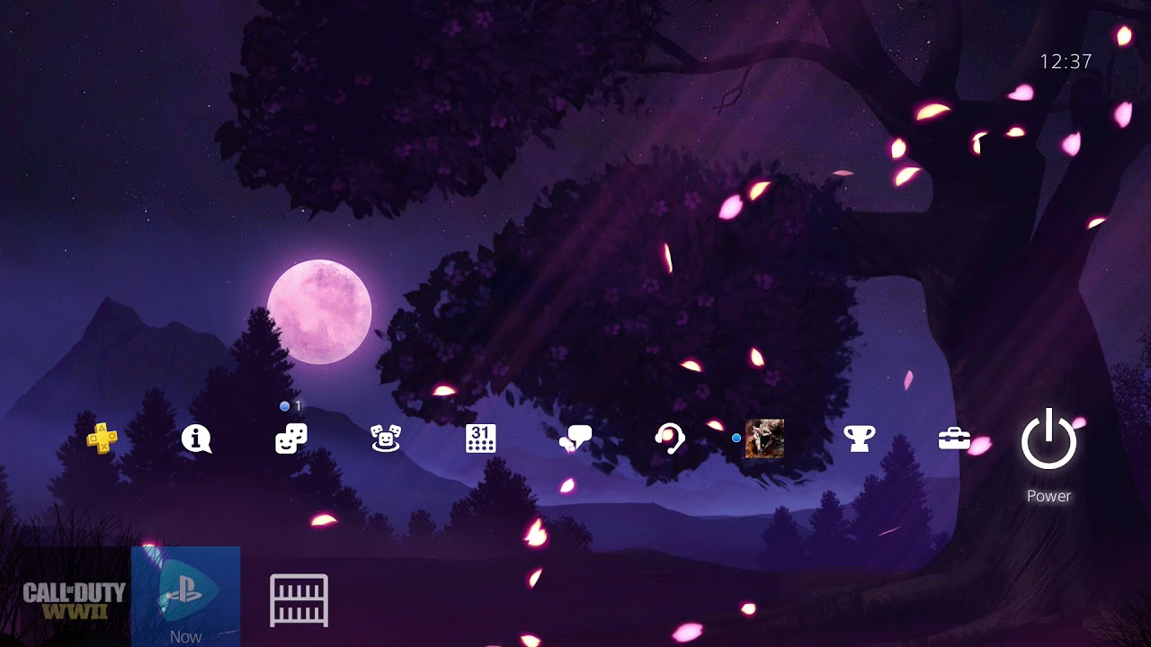 Sakura Tree At Night - HD Wallpaper 