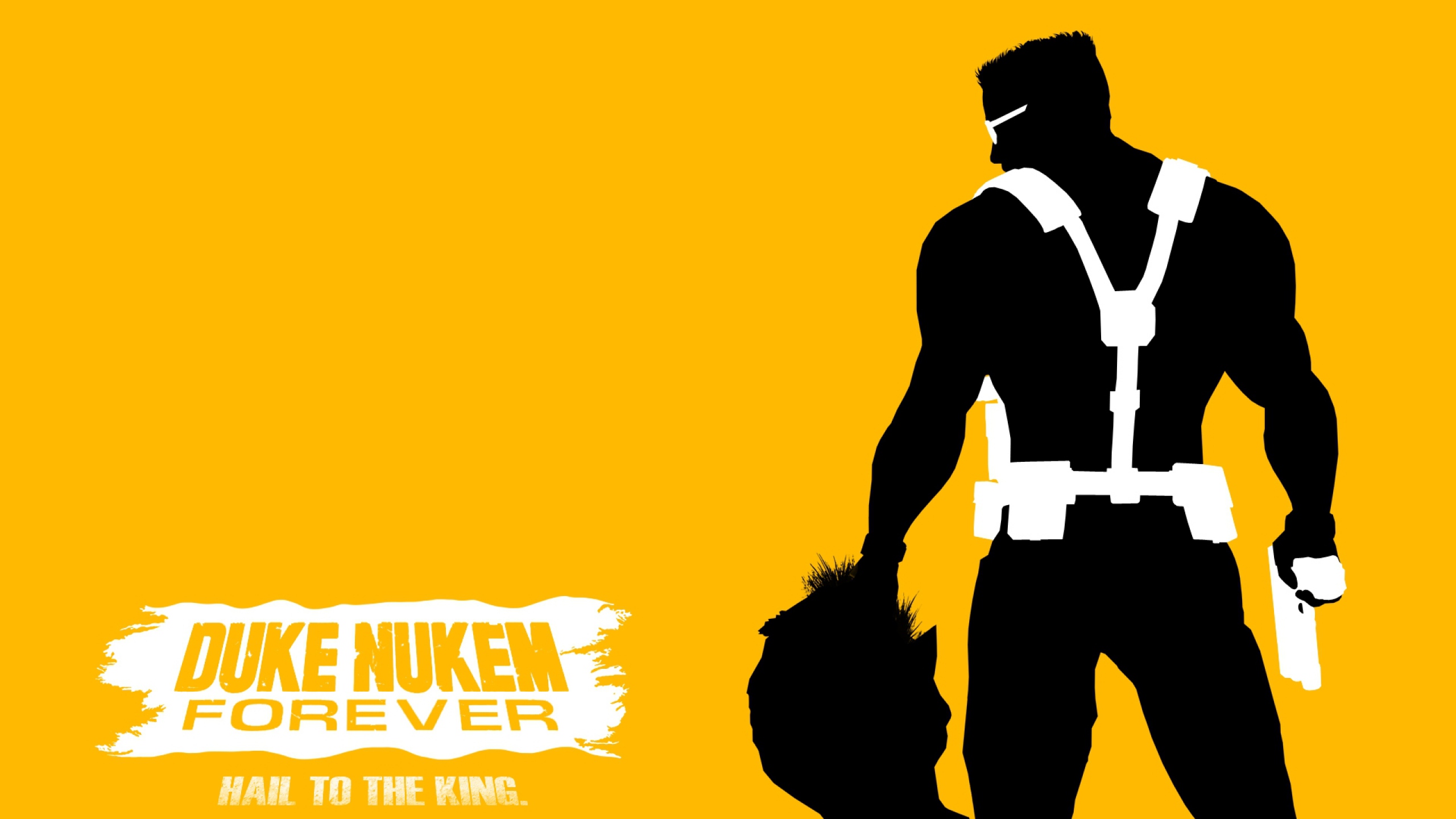 Download Free Duke Backgrounds Hd Hd Duke Image Wallpaper - Duke Nukem  Minimalist - 2560x1440 Wallpaper 