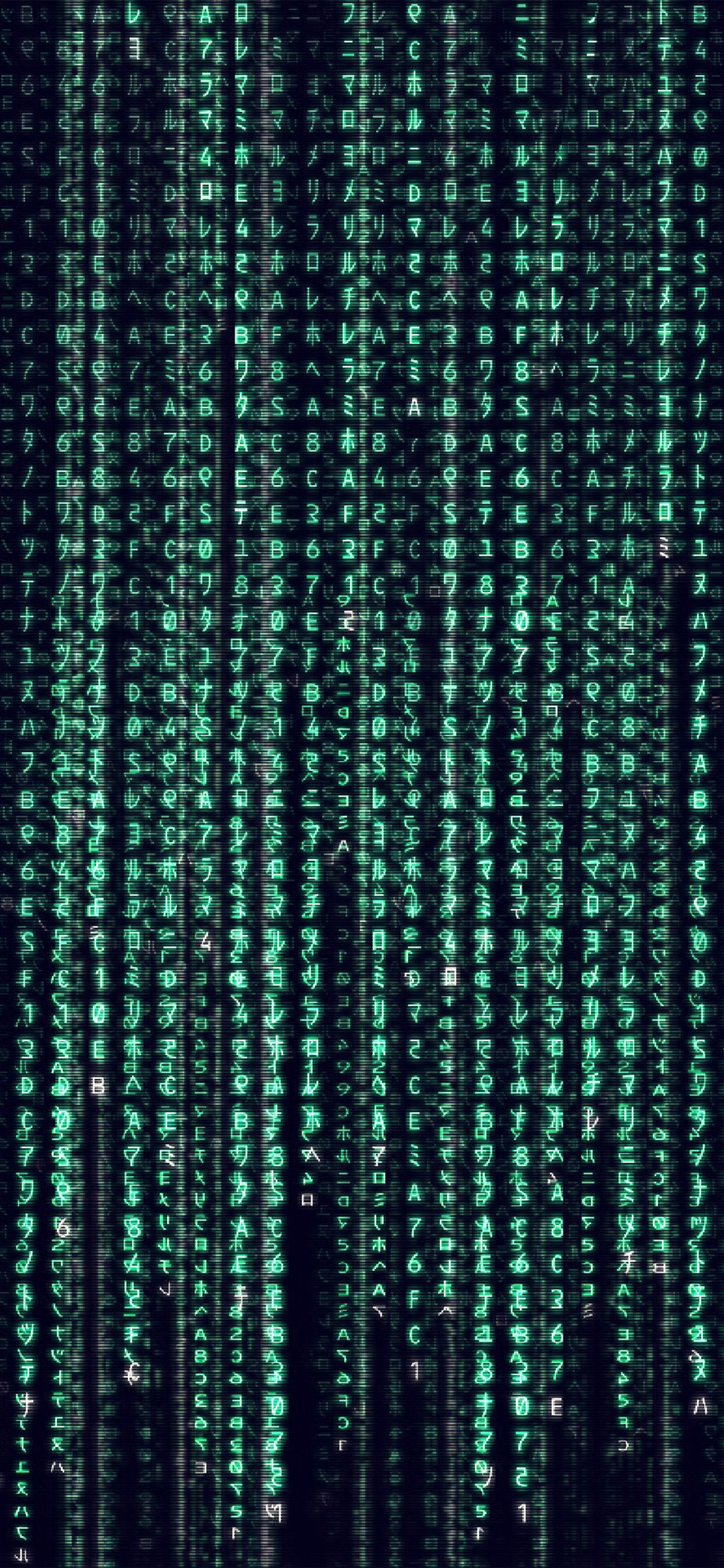 Matrix Wallpaper Iphone X - HD Wallpaper 
