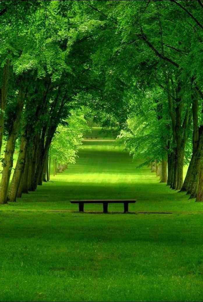 Beautiful Nature Wallpaper 😘 - Peaceful Spring Beautiful Scenery - 697x1035 Wallpaper Beautiful Nature Wallpaper 😘 - Peaceful Spring Beautiful Scenery - 697x1035 Wallpaper