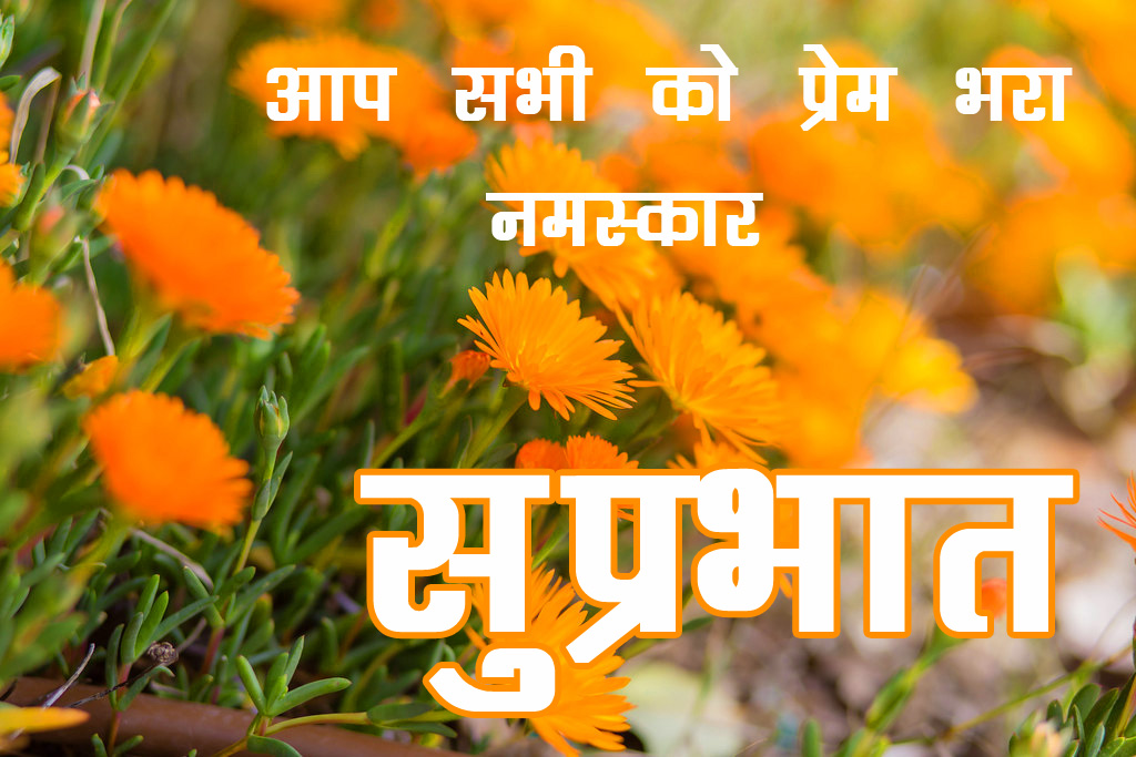 Beautiful Free Good Morning Images Download - English Marigold - HD Wallpaper 