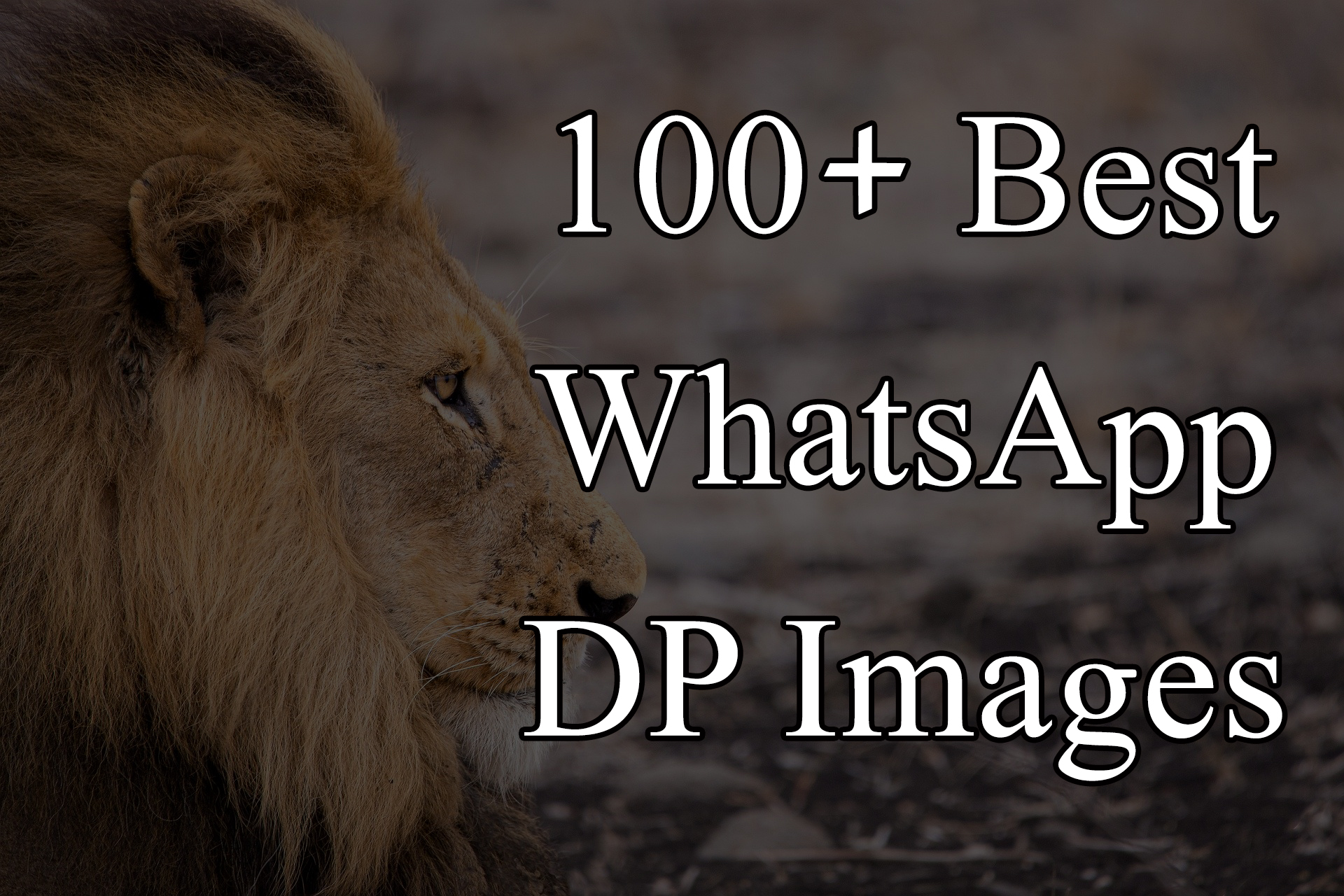 Whatsapp Dp - HD Wallpaper 