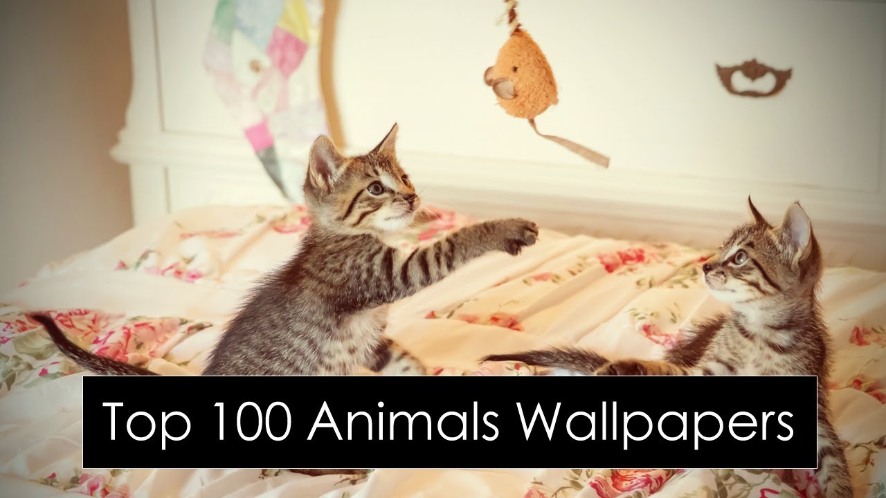 Works - HD Wallpaper 