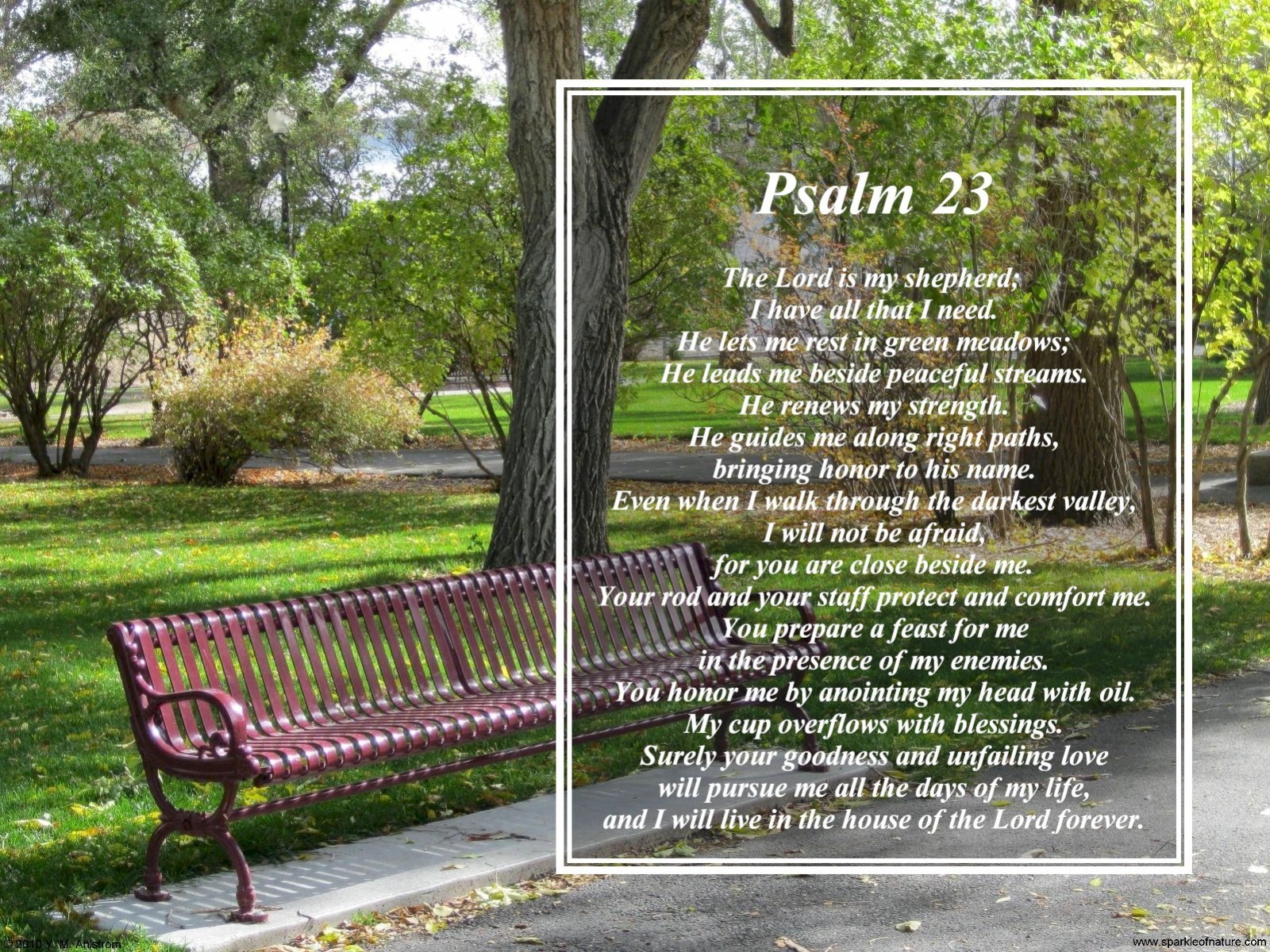 Psalm 23 Deutsch - HD Wallpaper 