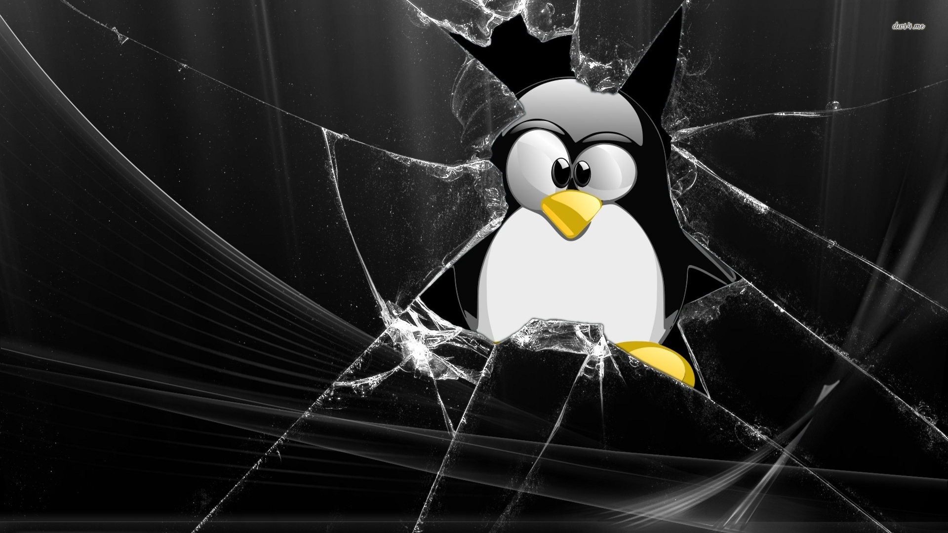 Linux Vulnerability - HD Wallpaper 