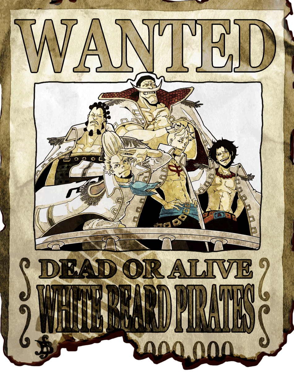 Whitebeard Pirates Bounty - One Piece Whitebeard Pirates Bounty - HD Wallpaper 