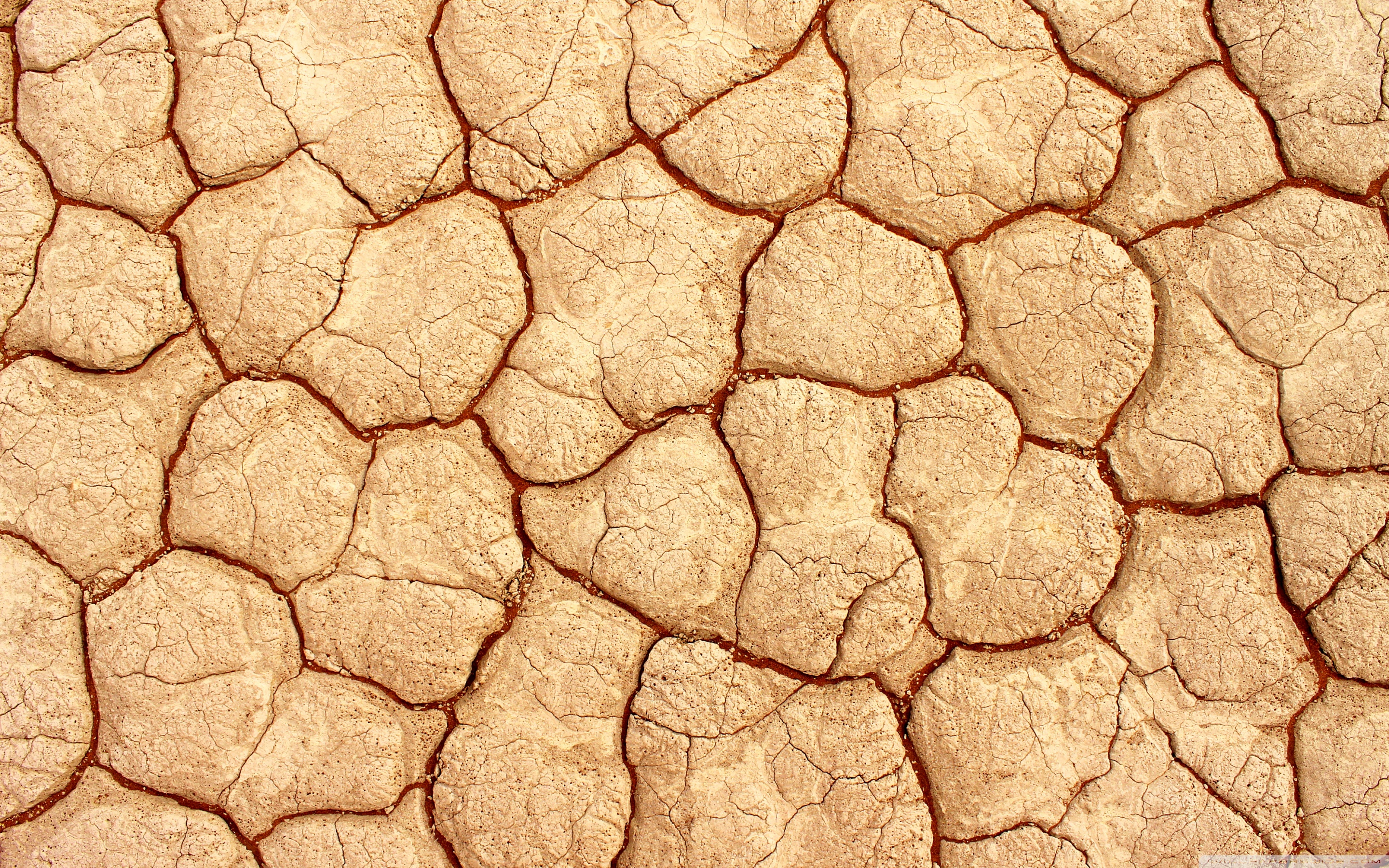 Hd Wallpapers Drought Cracked Earth Hd - HD Wallpaper 