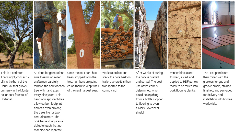 Web Corkstory - Cork Flooring Manufacturing - HD Wallpaper 