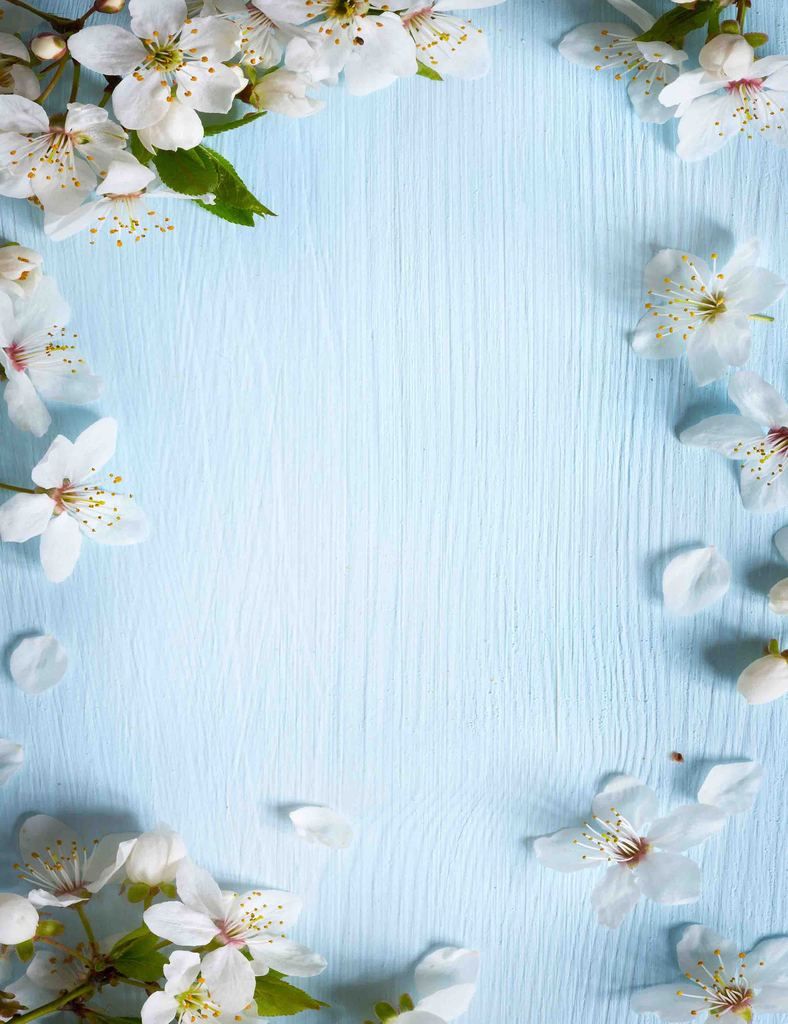 Blue White Flower Background - HD Wallpaper 