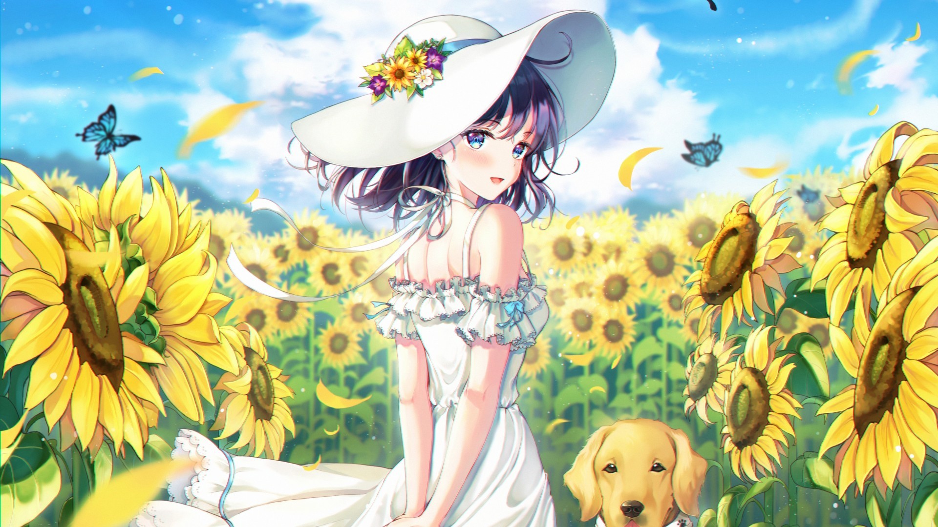 Anime Girl, Summer Dress, Dog, Sunflower Field, Hat, - Anime Girl Summer Dress - HD Wallpaper 