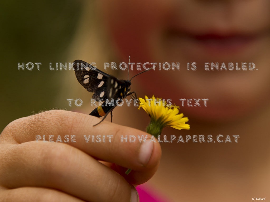 Beautiful Nature Hand Flower Butterfly Girl - Swallowtail Butterfly - HD Wallpaper 