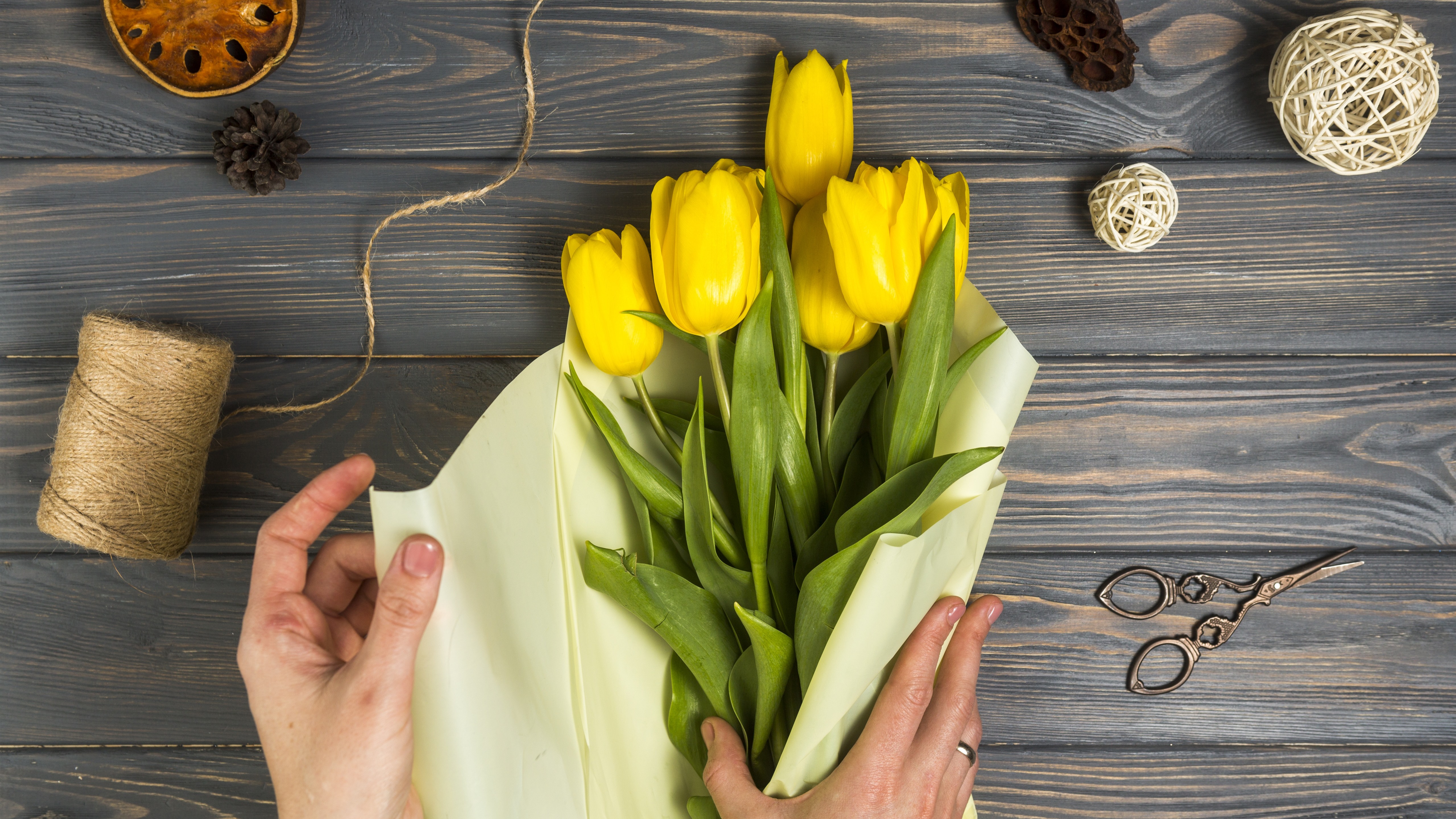 Wallpaper Yellow Tulips, Gift, Rope - Tulip - HD Wallpaper 