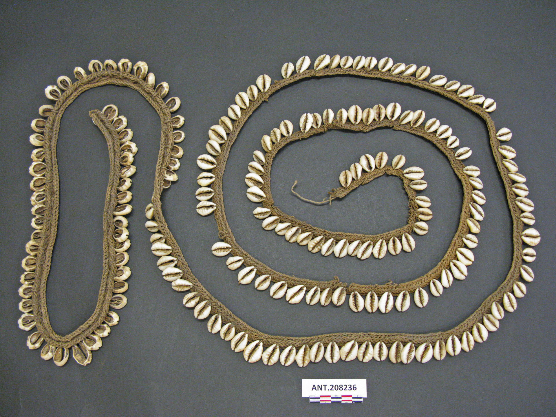 Illustration - HD Wallpaper 