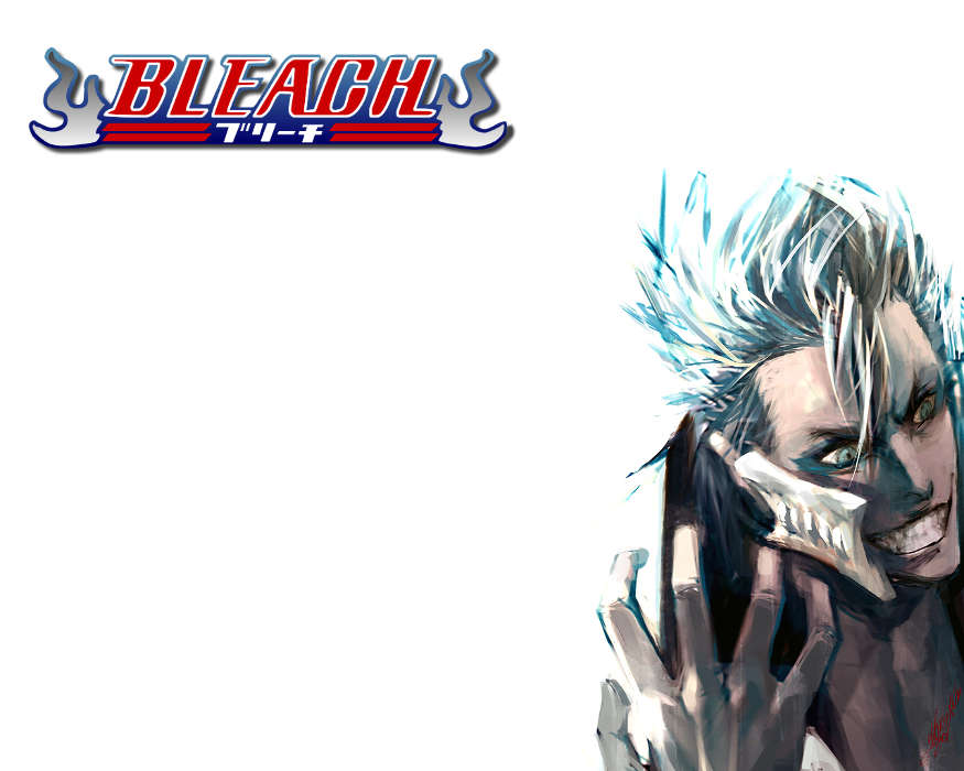 Download Free Bleach Anime Wallpaper For Your Mobile - Grimmjow - HD Wallpaper 