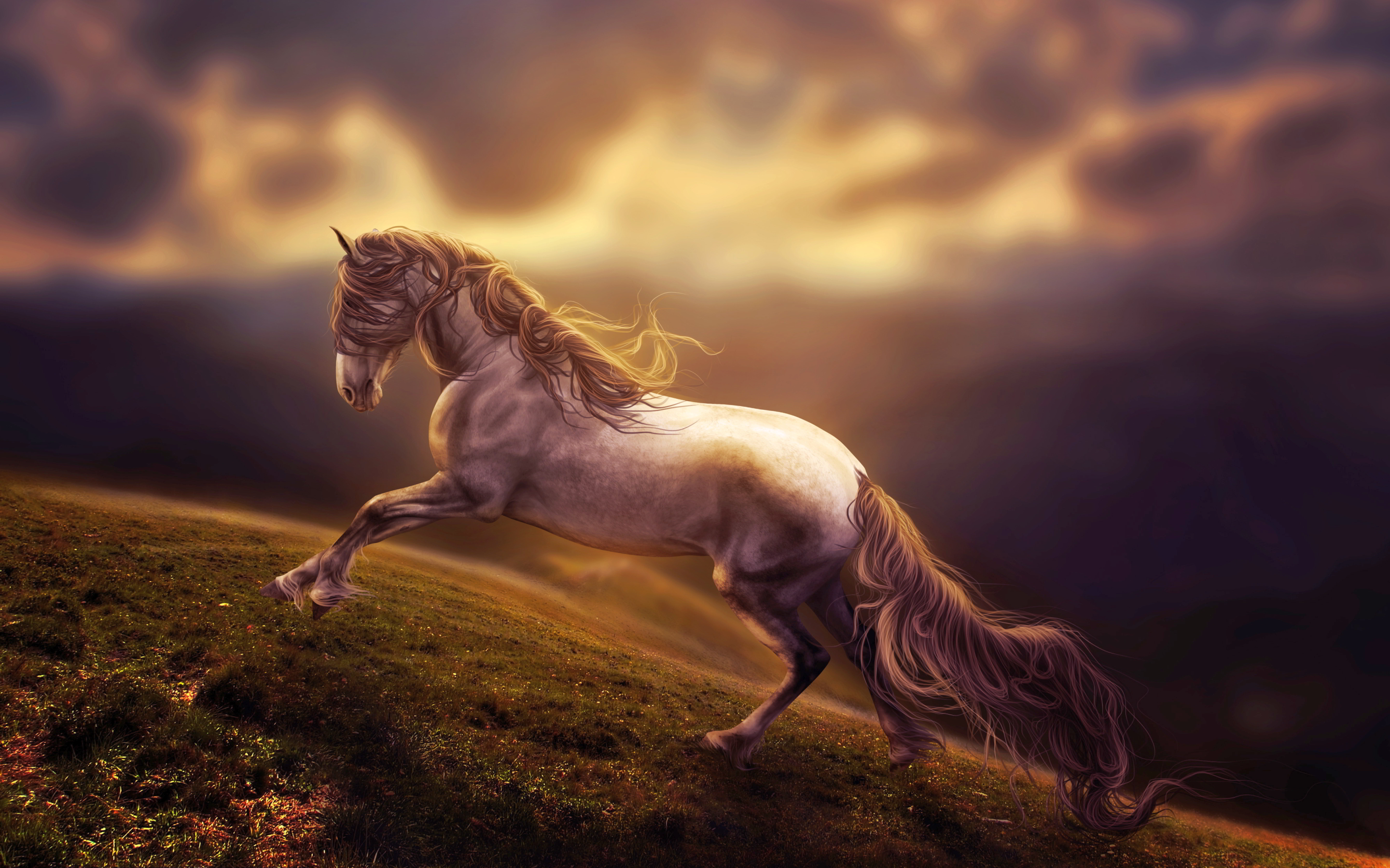 Horse Art - HD Wallpaper 