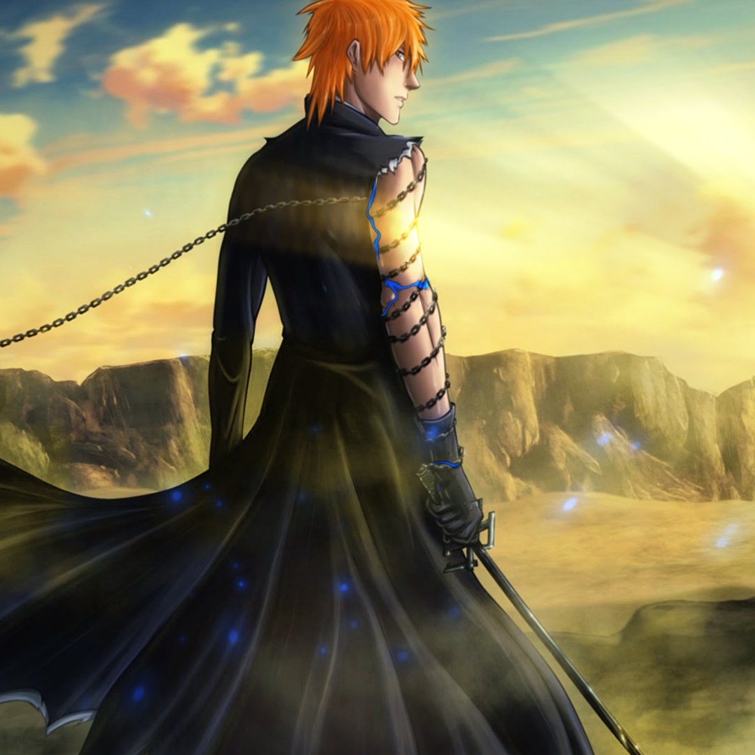 Ichigo Vs Aizen Form - HD Wallpaper 