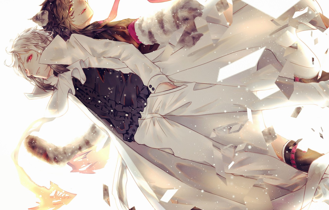 Photo Wallpaper Guys, Mafia, Bungou Stray Dogs, Stray - Bungou Stray Dogs Akutagawa And Atsushi - HD Wallpaper 