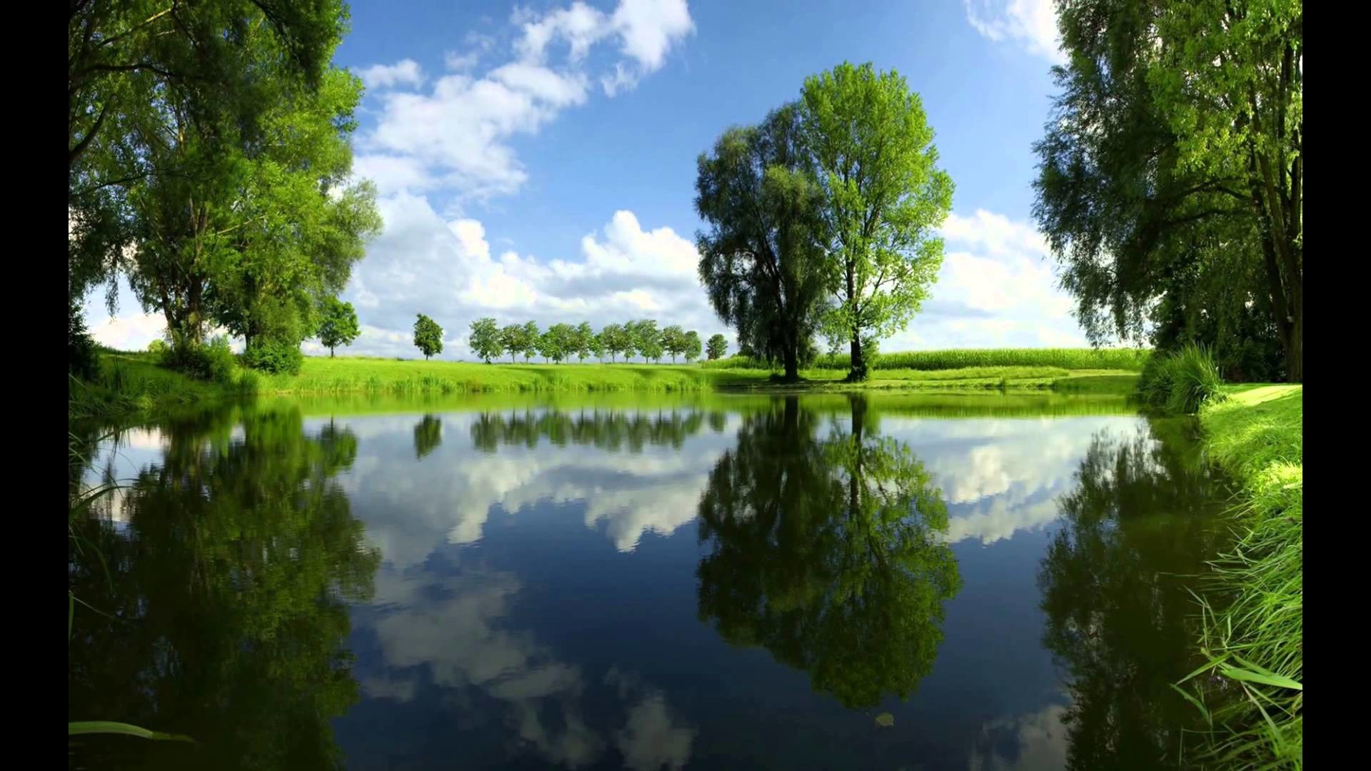 25 Breathtaking Nature Set 3 High Resolution Wallpapers - Paisajes De Arboles Y Cielo - HD Wallpaper 