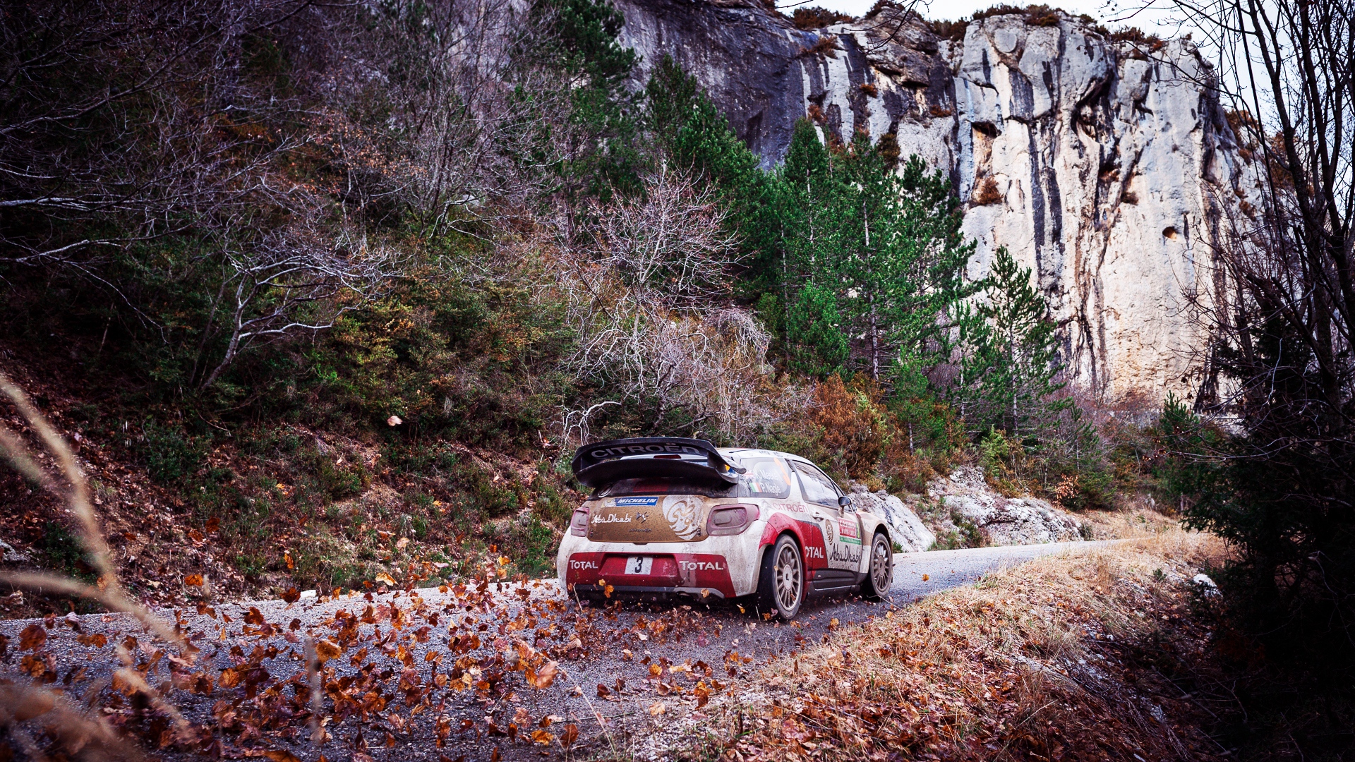 Wallpaper Citroen, Ds3, Rally, Fall - Rally Wallpaper Phone - HD Wallpaper 