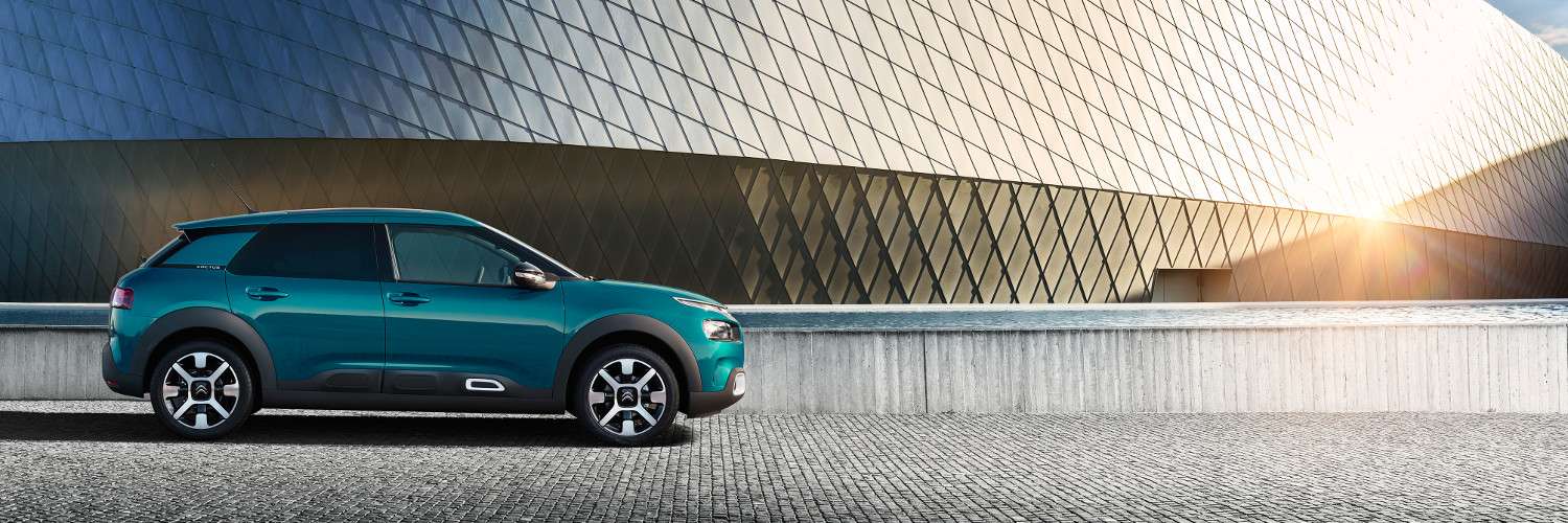 Cactus Citroen - HD Wallpaper 